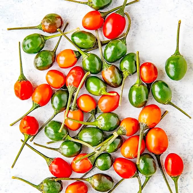 Thai Bird's Eye Chili Peppers Seeds for Planting - Image 3