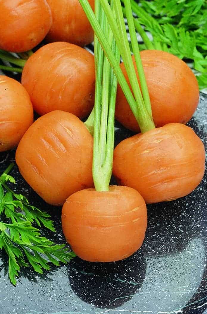 Thumbelina Carrot Seeds – Heirloom, Round Mini Carrots for Containers & Gardens - Image 3