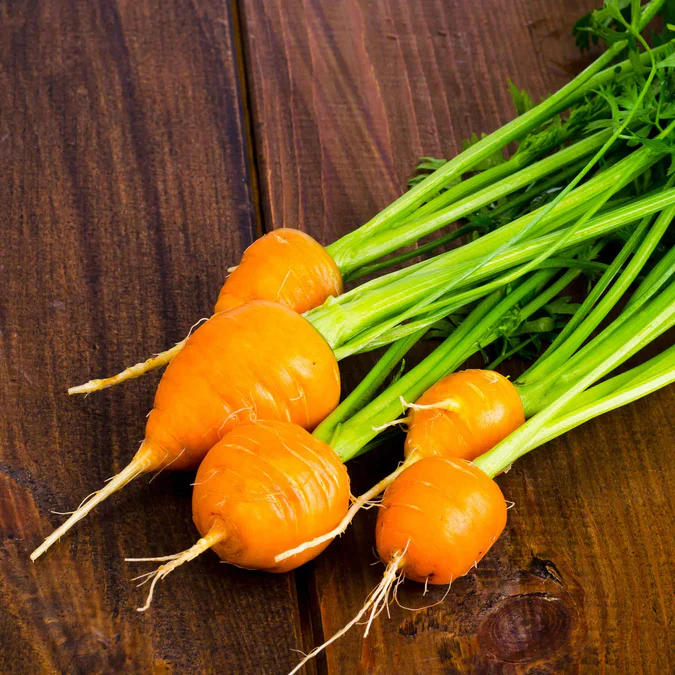 Thumbelina Carrot Seeds – Heirloom, Round Mini Carrots for Containers & Gardens - Image 4