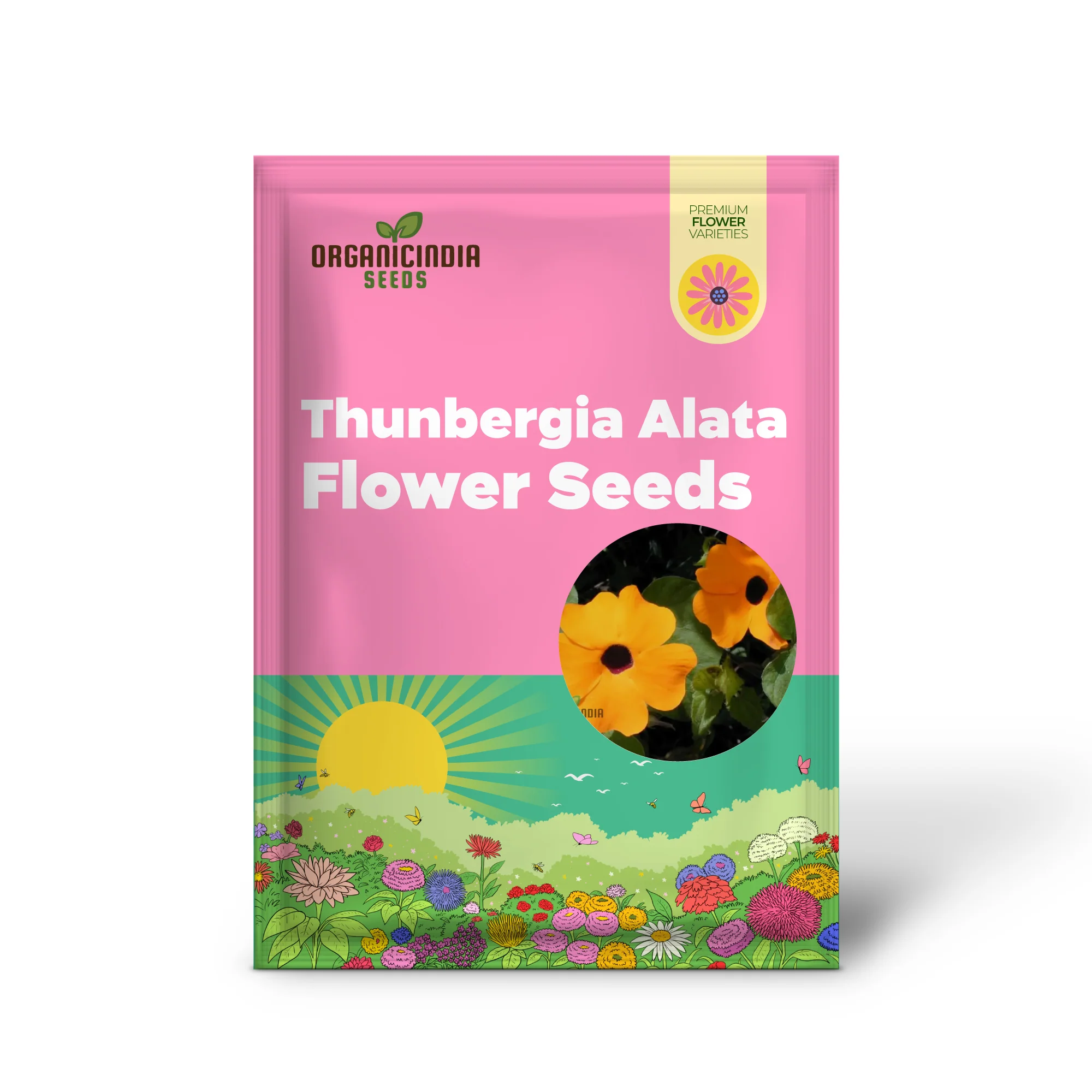Thunbergia Seeds (Thunbergia Alata Flower Seeds) - Vibrant Climbing Blooms for Gardens - Image 2