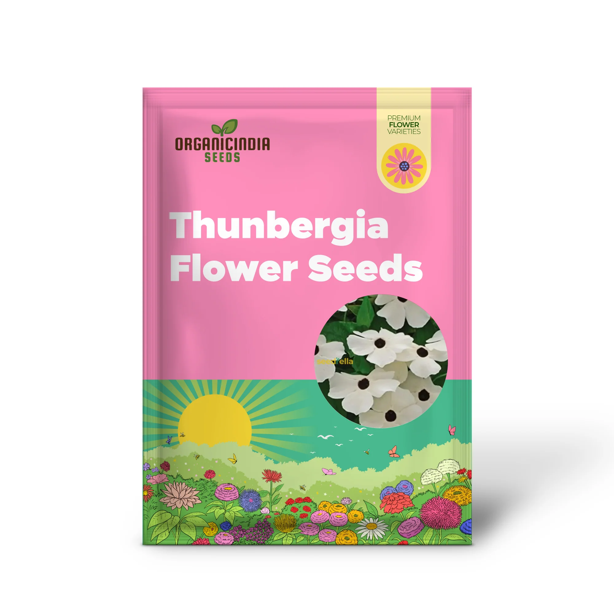 Thunbergia Flower Seeds for Planting - Grow Vibrant, Colorful Blooms in Your Garden - Image 2
