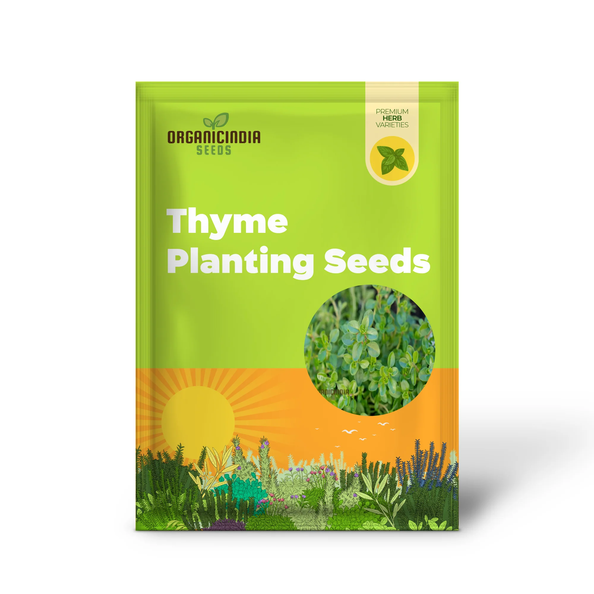 Thyme Seeds – Aromatic Culinary Herb for Versatile Kitchen & Garden Growing - Image 2