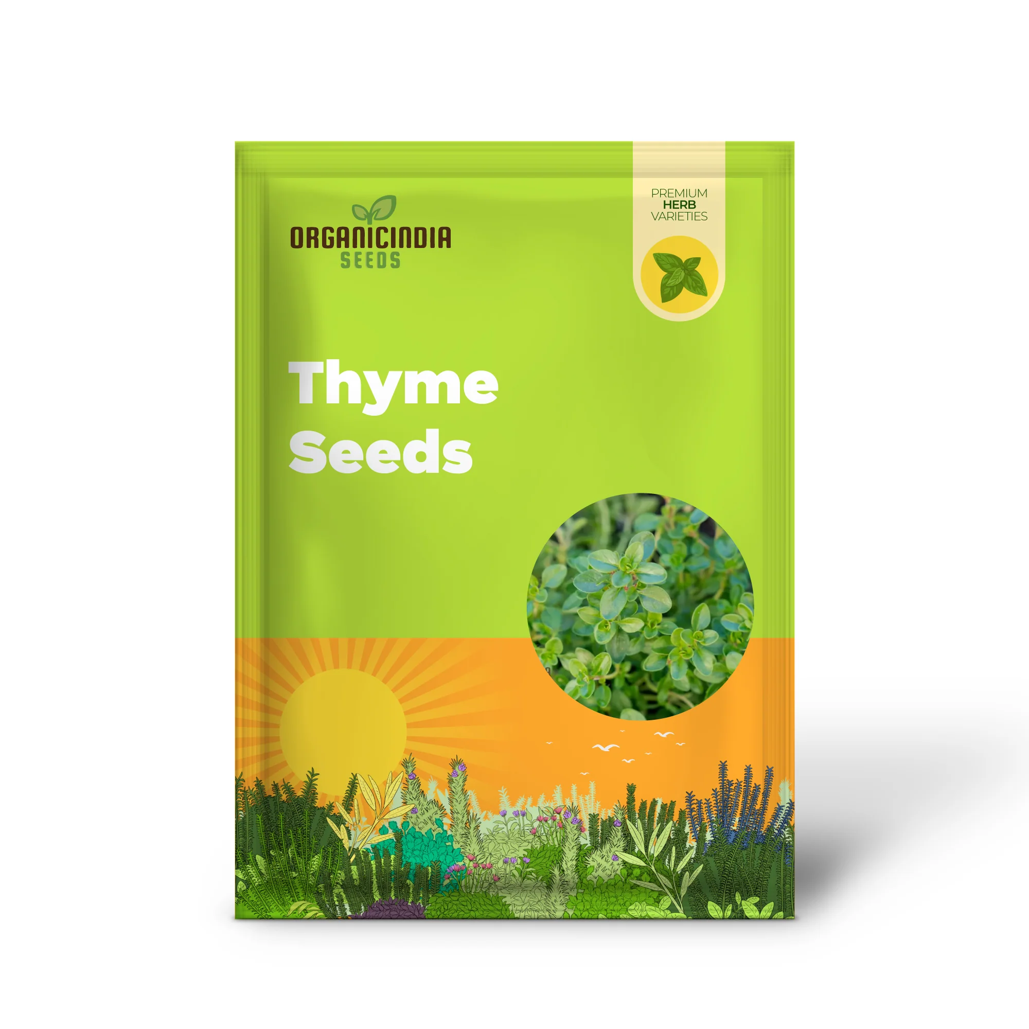 Thyme Seeds - Common Thyme for Planting in Your Garden - Image 2