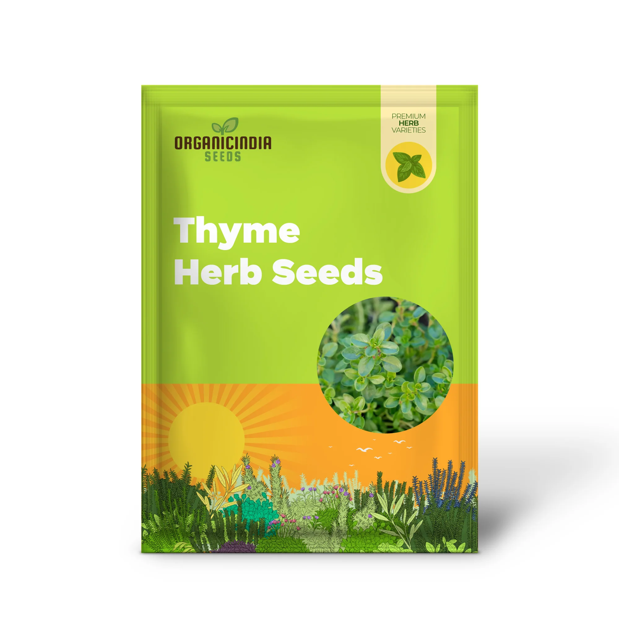 Thyme Herb Seeds – Non-GMO Aromatic Perennial for Garden & Kitchen Use - Image 2