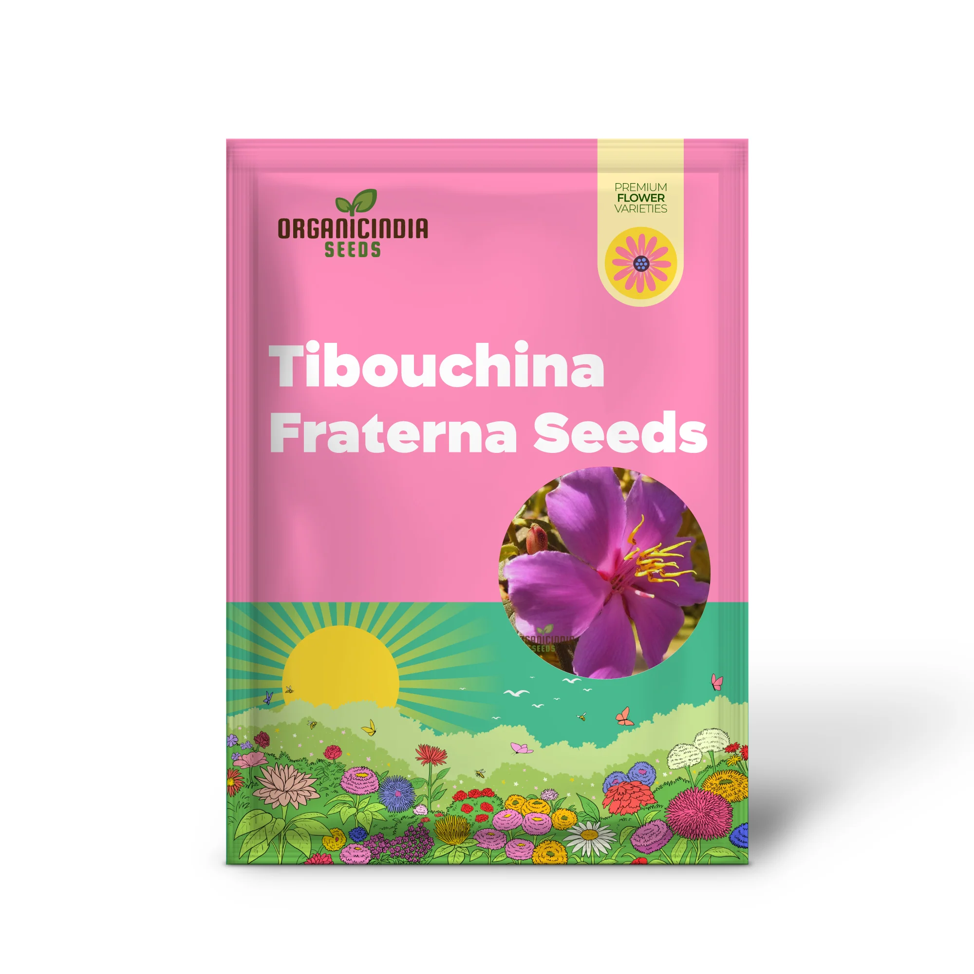 TIBOUCHINA FRATERNA Seeds - Exquisite Purple Flowering Seeds for Your Garden | Premium Gardening Seeds - Image 2