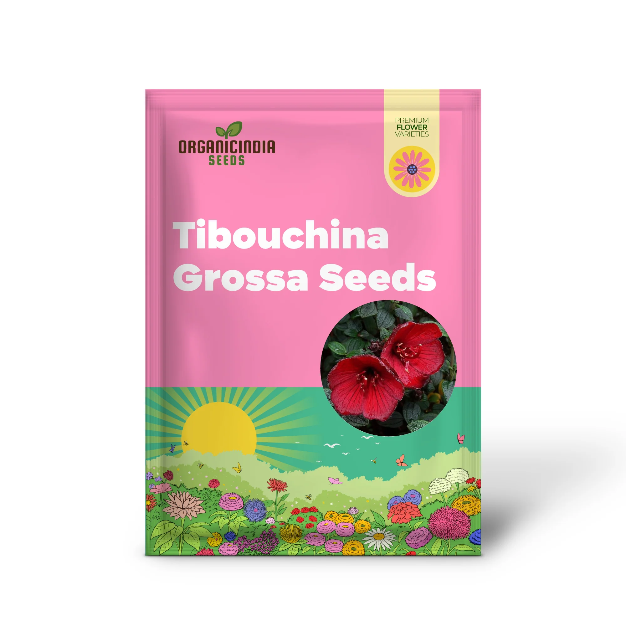 Tibouchina Grossa Seeds - Exotic Purple Princess Flower seeds for Planting| Buy Rare Brazilian Glorybush Seeds - Image 2