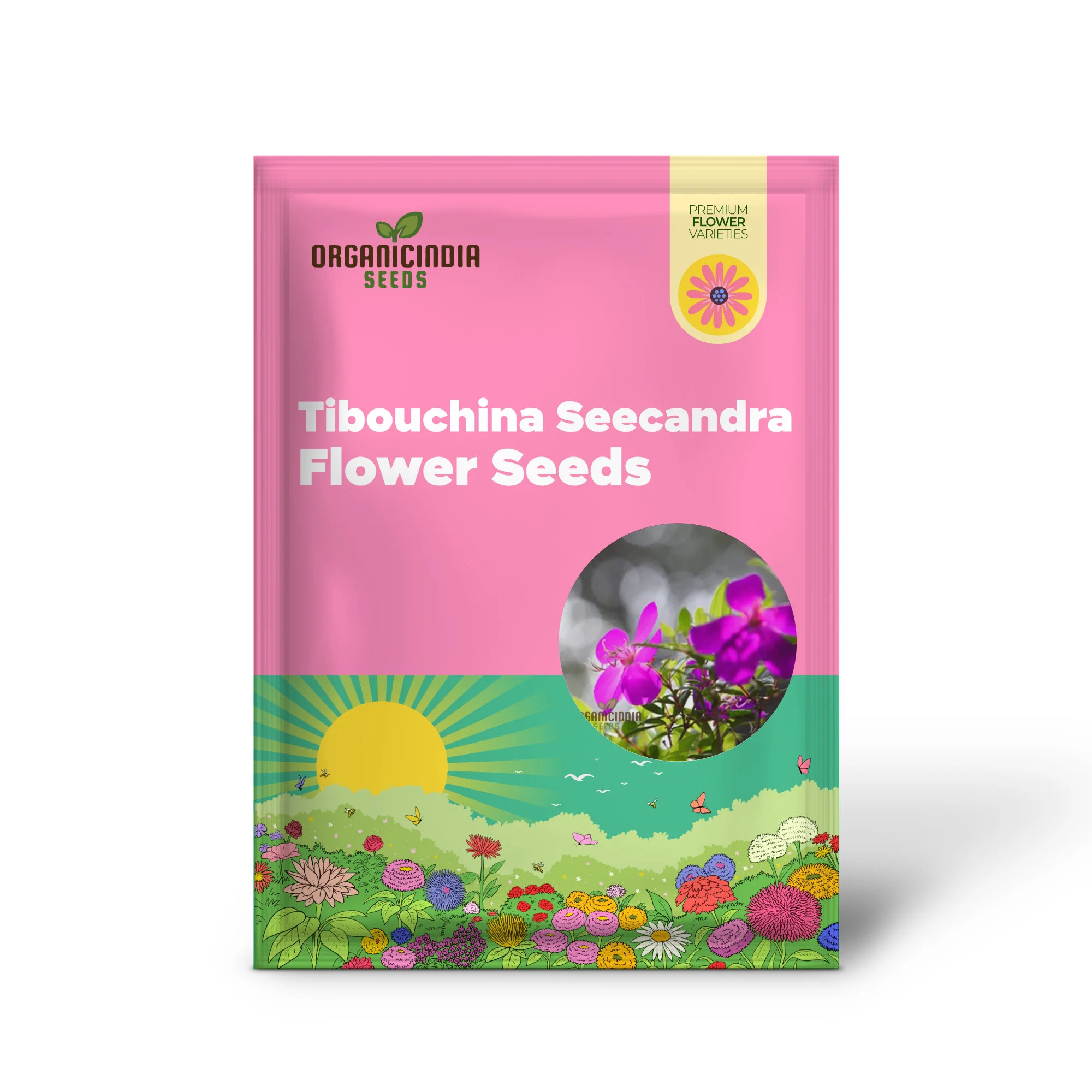 Tibouchina Seecandra Flower Seeds - Vibrant Purple Blooms for Lush Garden Beauty - Image 2