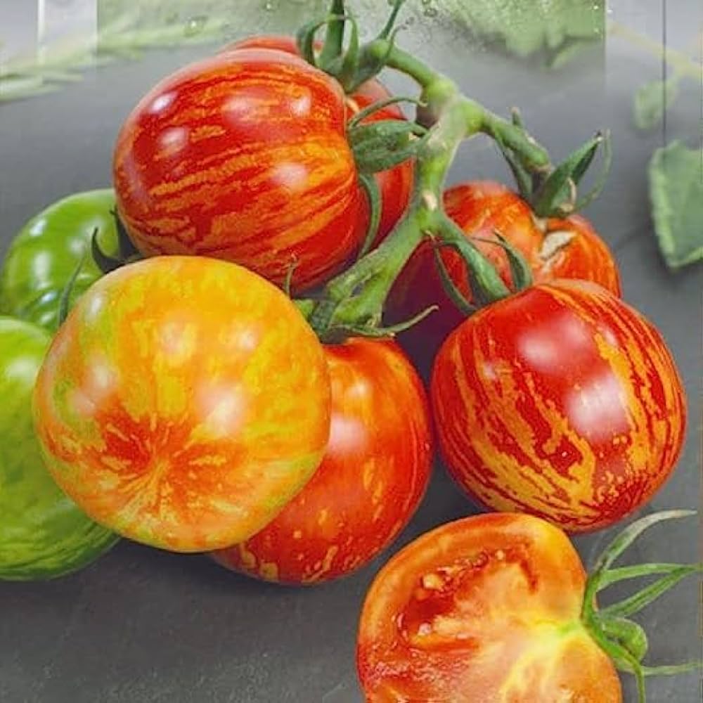 Tigerella Tomato Seeds – Heirloom Striped Variety - High-Yield & Sweet Flavor - Image 3