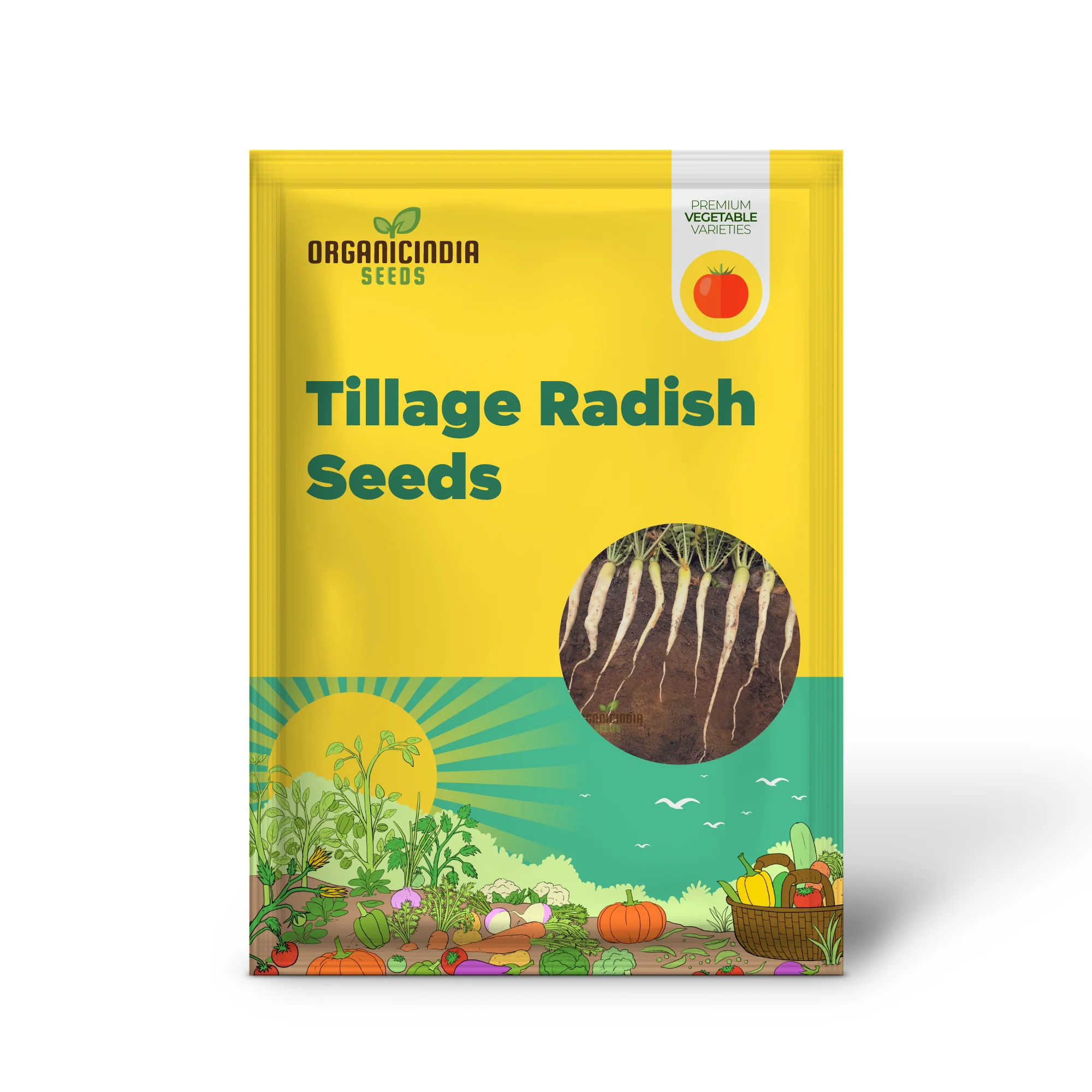 Tillage Radish Seeds - Premium Quality for Planting Success and Soil Health - Image 2