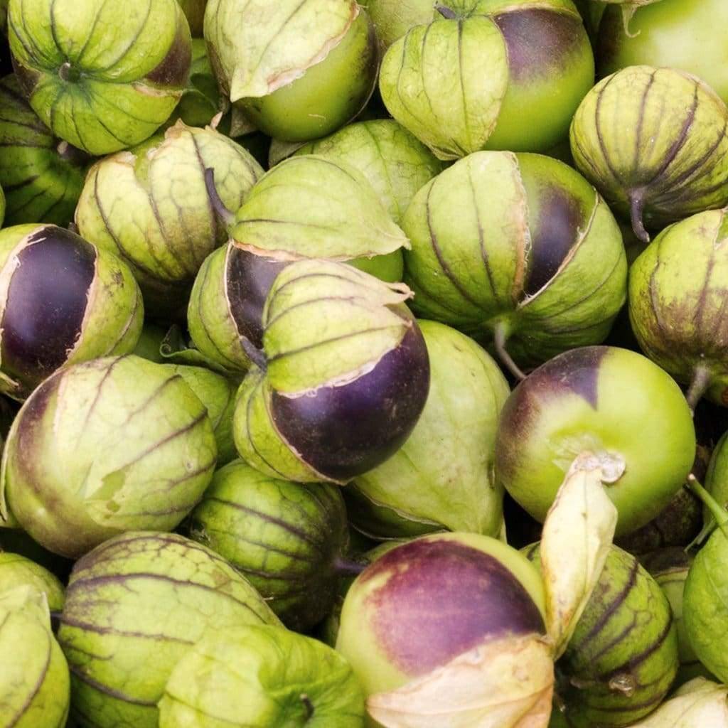 Tomatillo 'De Milpa' Seeds for Home Gardening - Heirloom Vegetable Seeds for Salsa Verde & Mexican Cuisine Seeds - Image 4