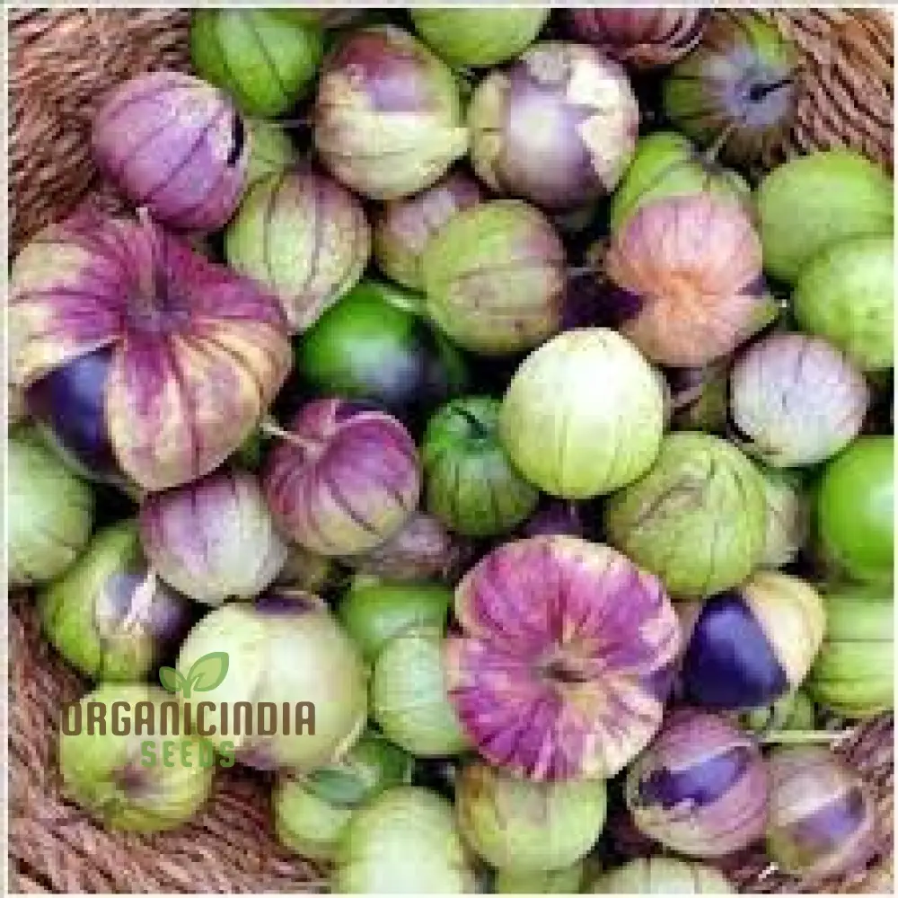 Tomatillo 'De Milpa' Seeds for Home Gardening - Heirloom Vegetable Seeds for Salsa Verde & Mexican Cuisine Seeds - Image 5