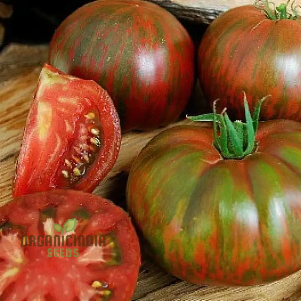 TOMATO BERKLEY TIE DYE Seeds for Your Garden | Organic Gardening Seeds