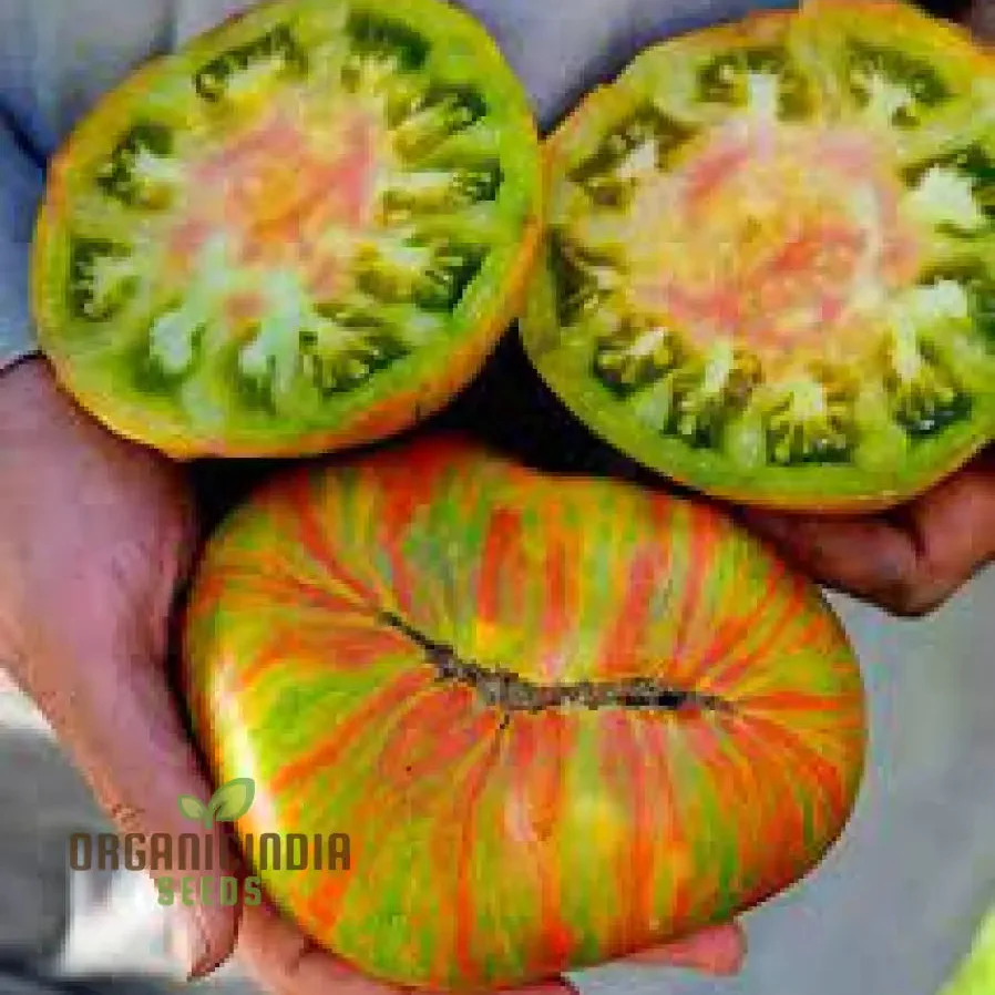 TOMATO BERKLEY TIE DYE Seeds for Your Garden | Organic Gardening Seeds - Image 3