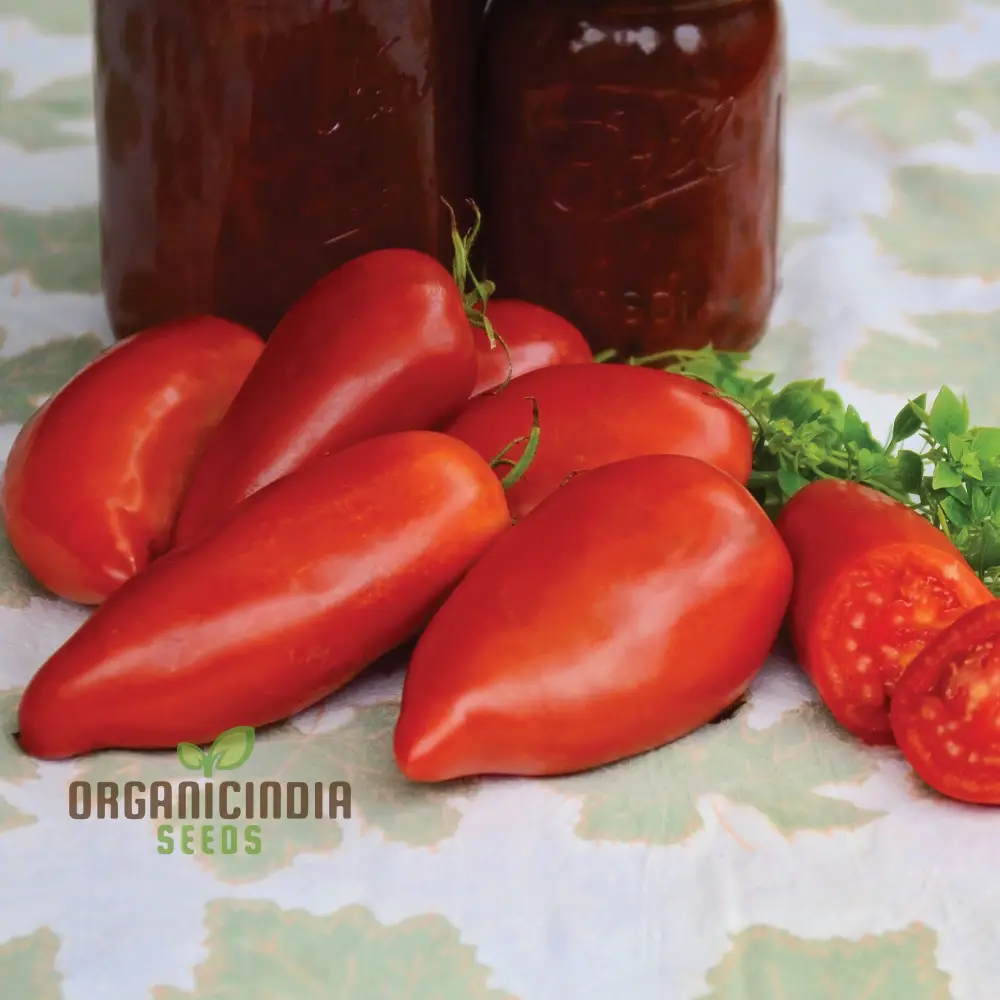 TOMATO JERSEY DEVIL Seeds For Planting- Premium Quality Seeds for Gardening - Image 3