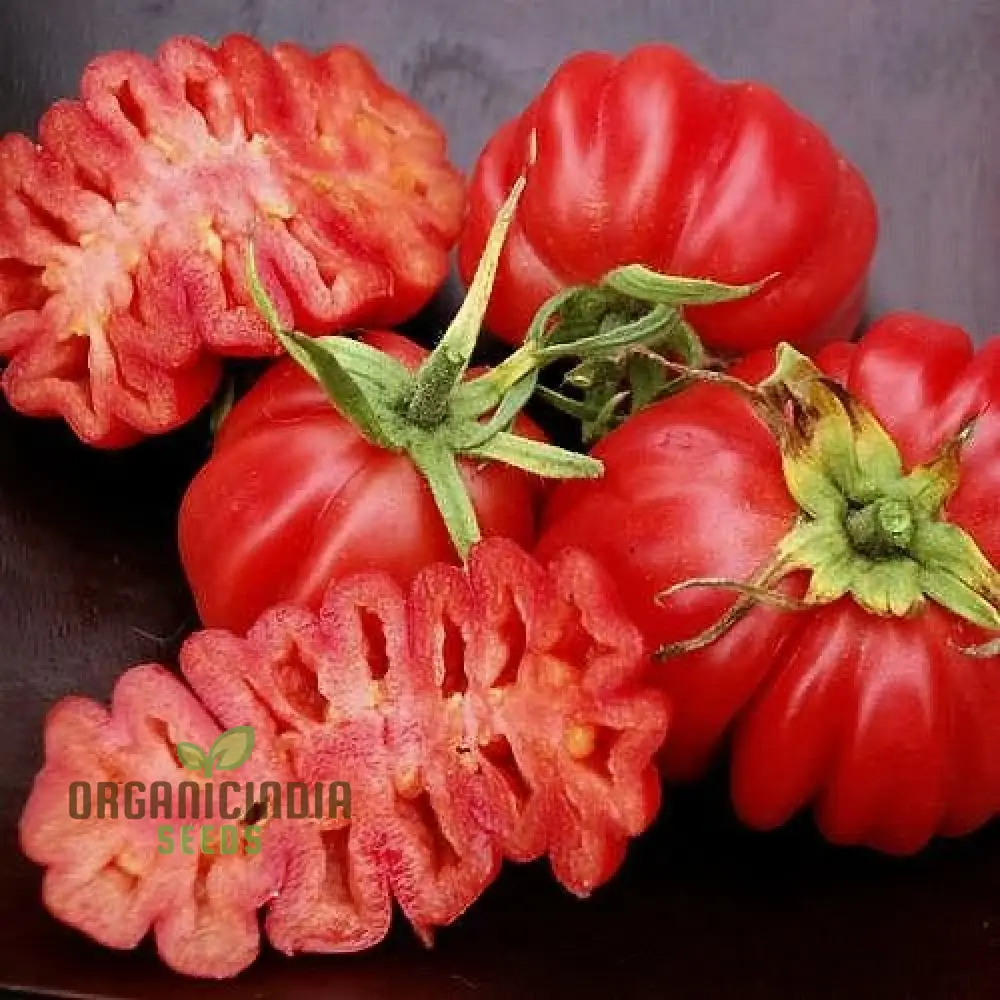 Tomato Pink Accordion Seeds for Gardening | Premium Heirloom Tomato Seeds for Your Garden - Image 4