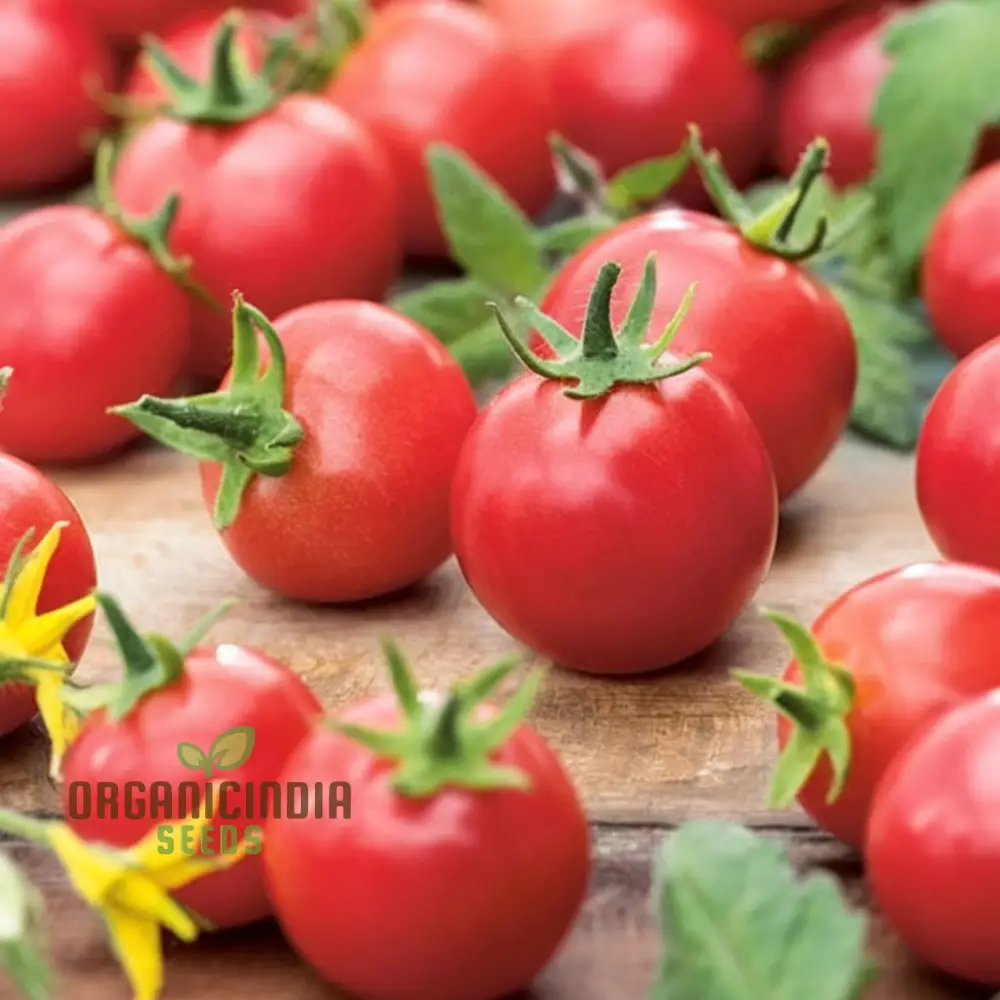 Tomato Rubinka Seeds - Grow Rich and Flavorful Rubinka Tomatoes in Your Garden - Image 4