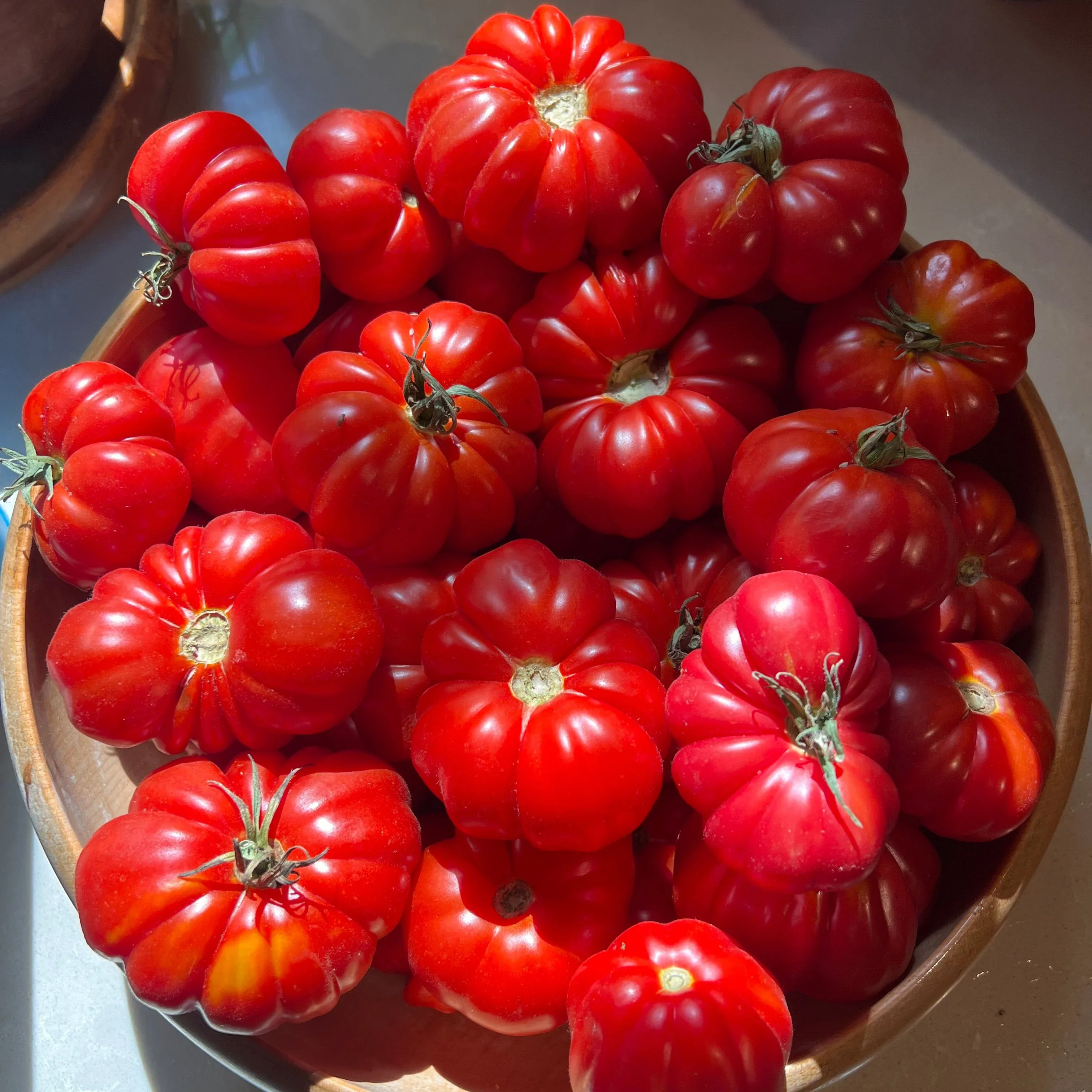 TOMATO TLACOLULA Seeds, Premium Quality Seeds for Gardening Enthusiasts - Image 3