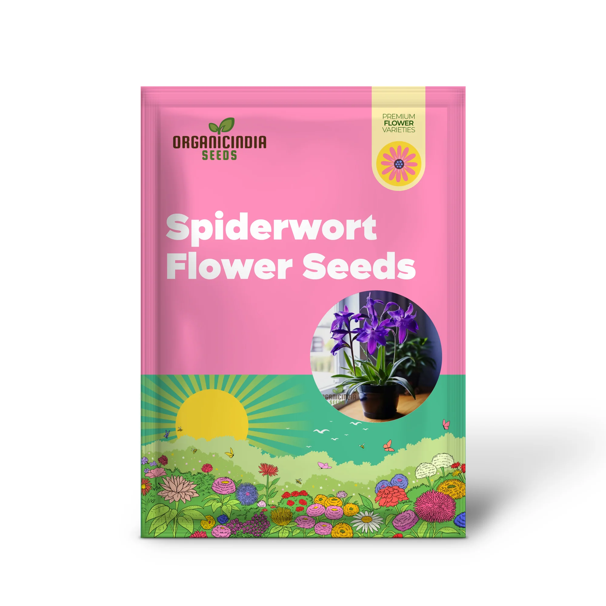 Tradescantia Spiderwort Seeds – Colorful Three-Petal Blooms for Borders, Wildlife Gardens, Containers & Easy Perennial Landscaping - Image 2