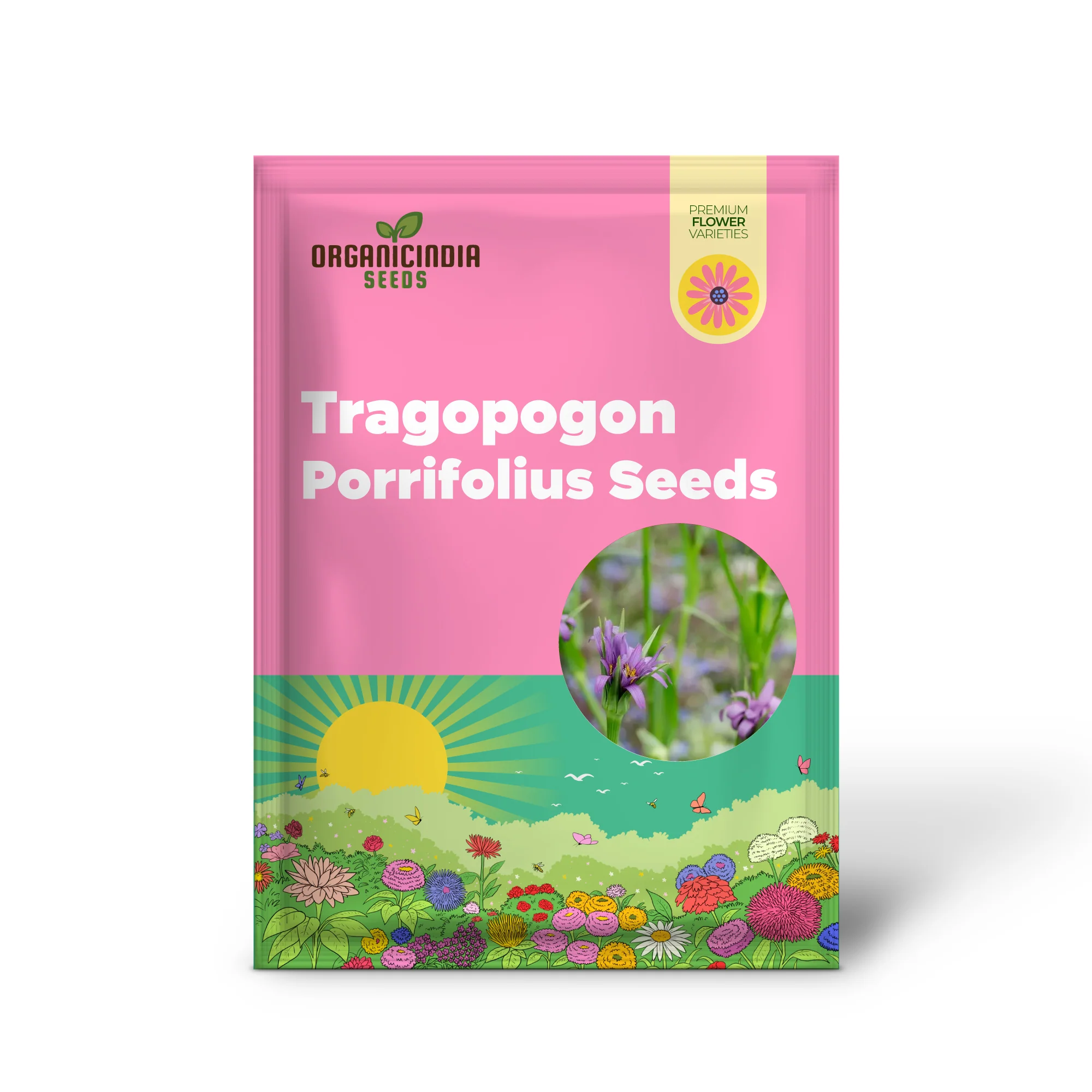 Tragopogon porrifolius Seeds for Gardening | Hardy Biennial Flowering Seeds - Image 2
