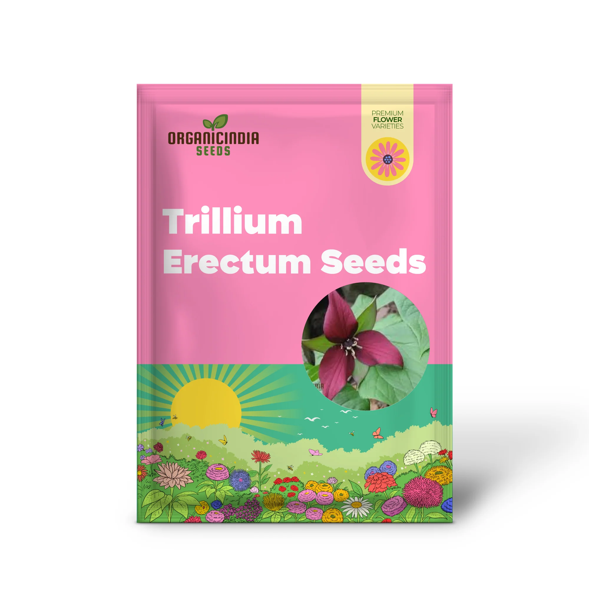 Trillium Erectum Seeds for Exquisite Gardening Enthusiasts | Rare Shade-Loving Perennial Seed Variety - Image 2