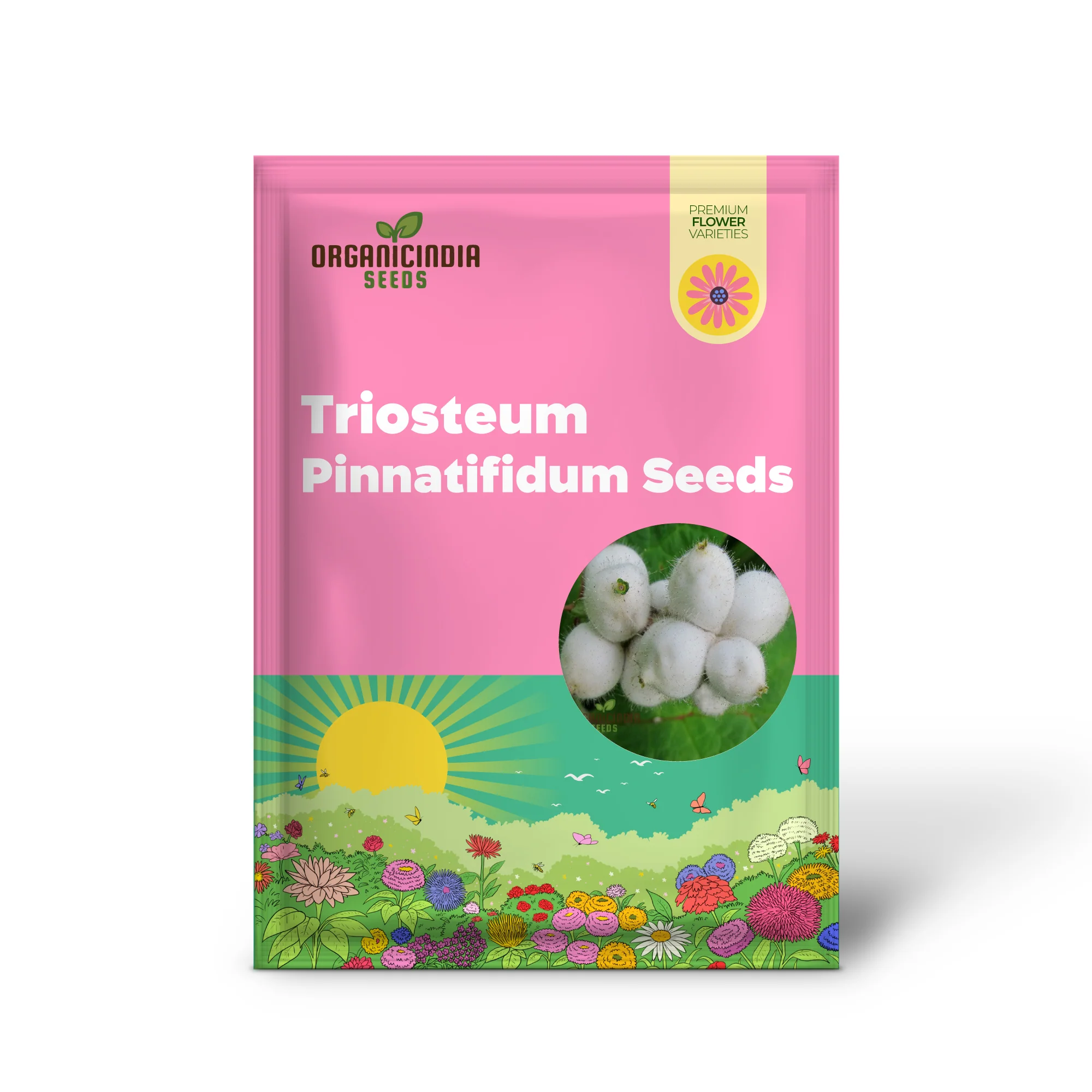 Triosteum Pinnatifidum Seeds for Exquisite Gardening Enthusiasts | Unique Perennial Flower Seeds - Image 2