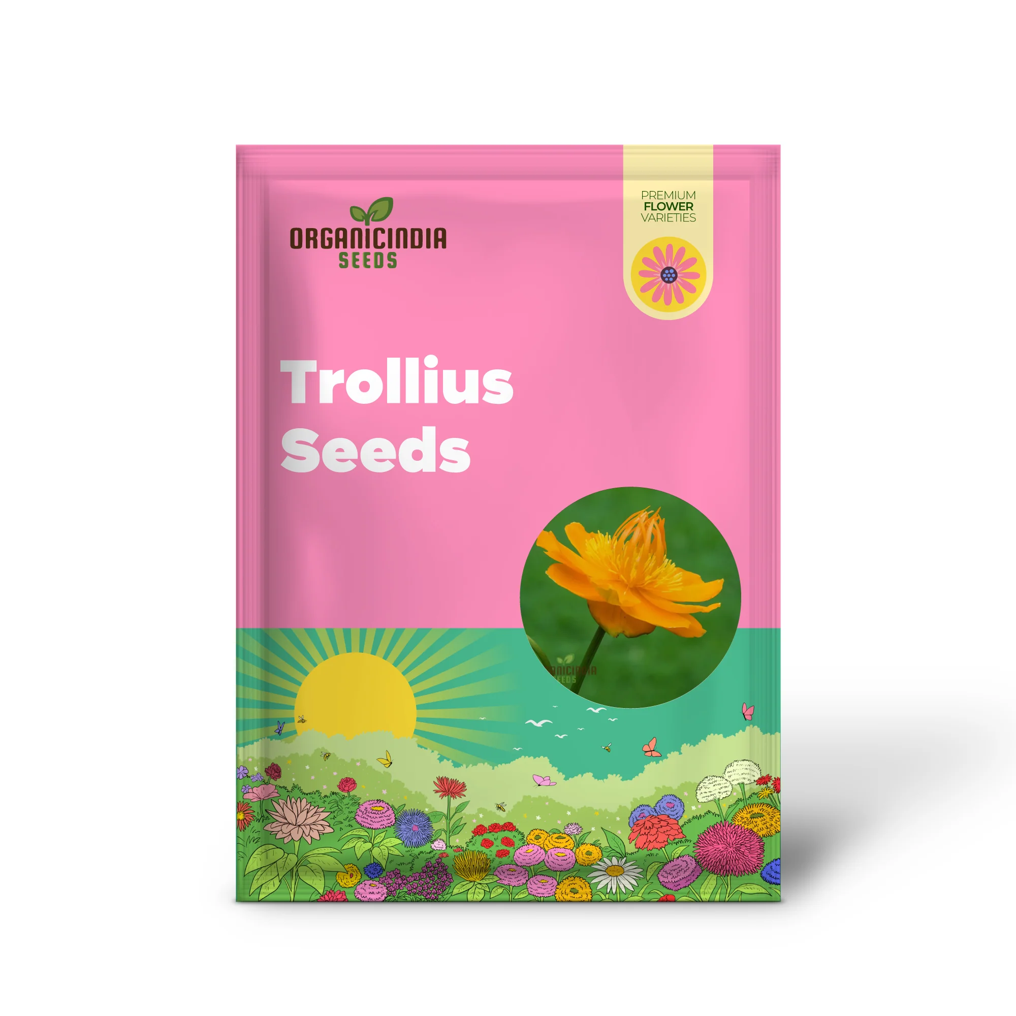 Trollius Seeds (Trollius Chinensis Seeds) - Rare Perennial Blooms to Enhance Your Garden - Image 3