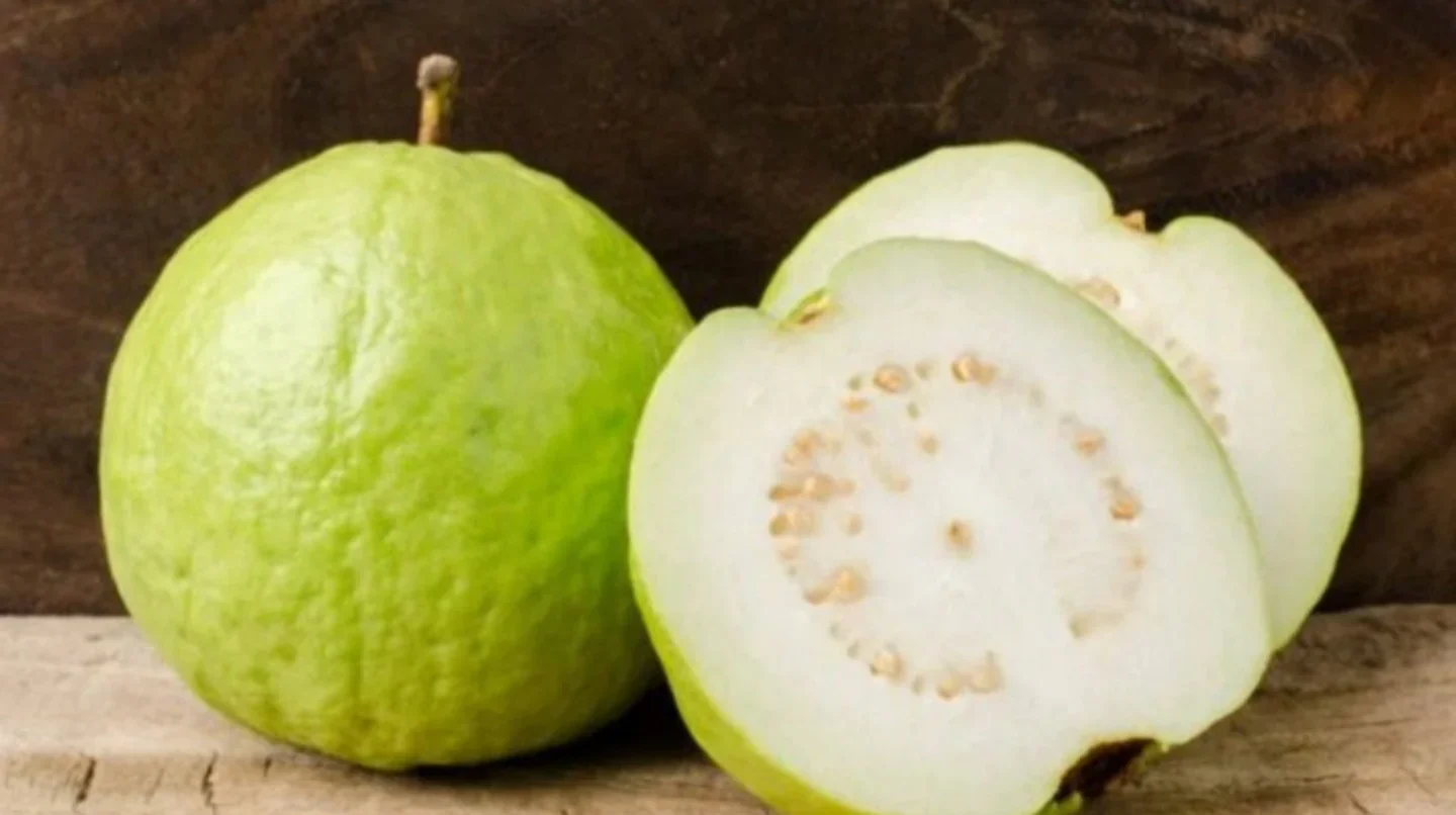 Tropical White Guava Seeds – Sweet & Fragrant Fruit for Planting - Image 3
