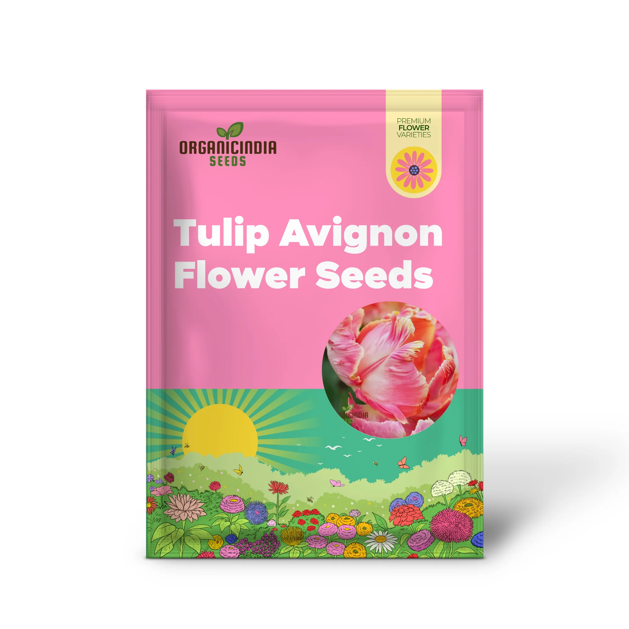 Tulip Avignon Parrot Flower Seeds For Planting, Vibrant and Exotic Parrot Tulips for a Stunning Spring Garden Display - Image 2