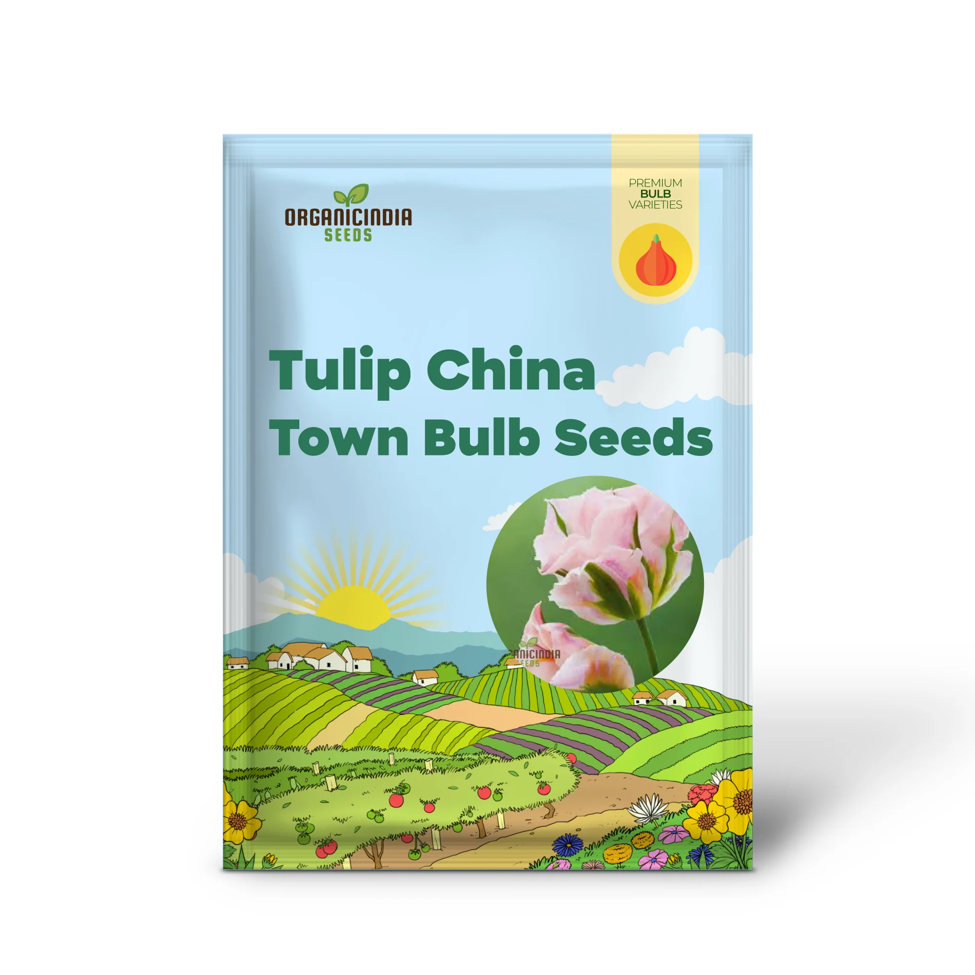 Tulip China Town Bulb Seeds for Vibrant Spring Gardens - High-Quality Flower Seeds for Gardening Enthusiasts (3 Bulbs For Planting) - Image 2