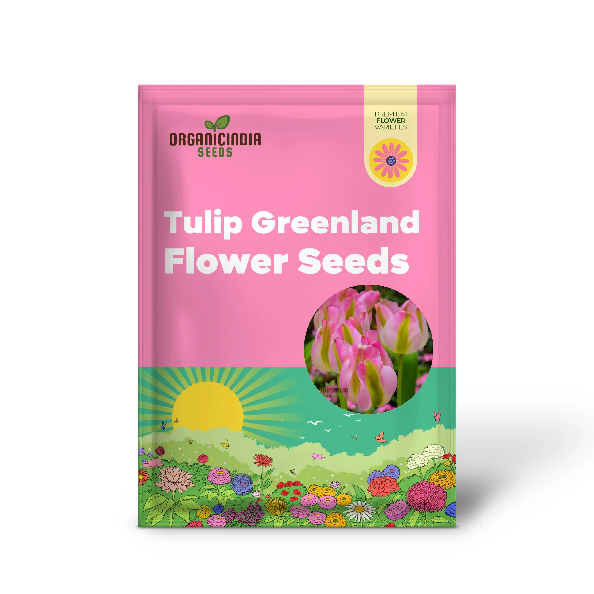 Tulip Greenland Flower Seeds For Planting, Beautiful and Bold Tulips for a Striking Spring Garden Display - Image 2