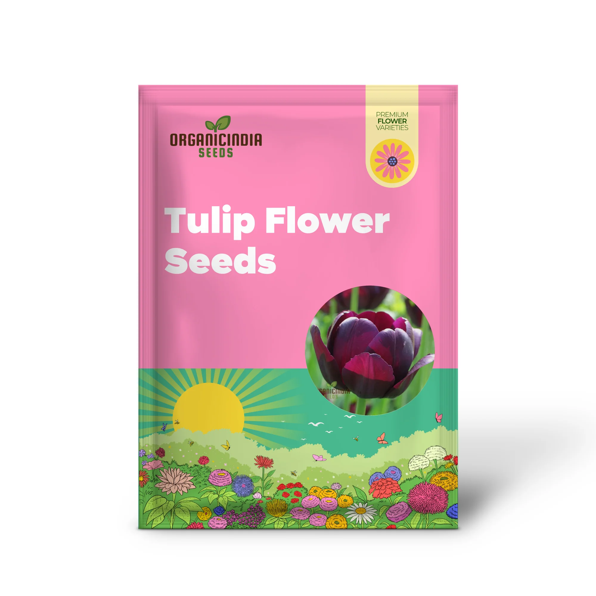 Tulip Queen of the Night Flower Seeds For Planting, Elegant and Dramatic Dark Tulips for a Sophisticated Garden Display - Image 2