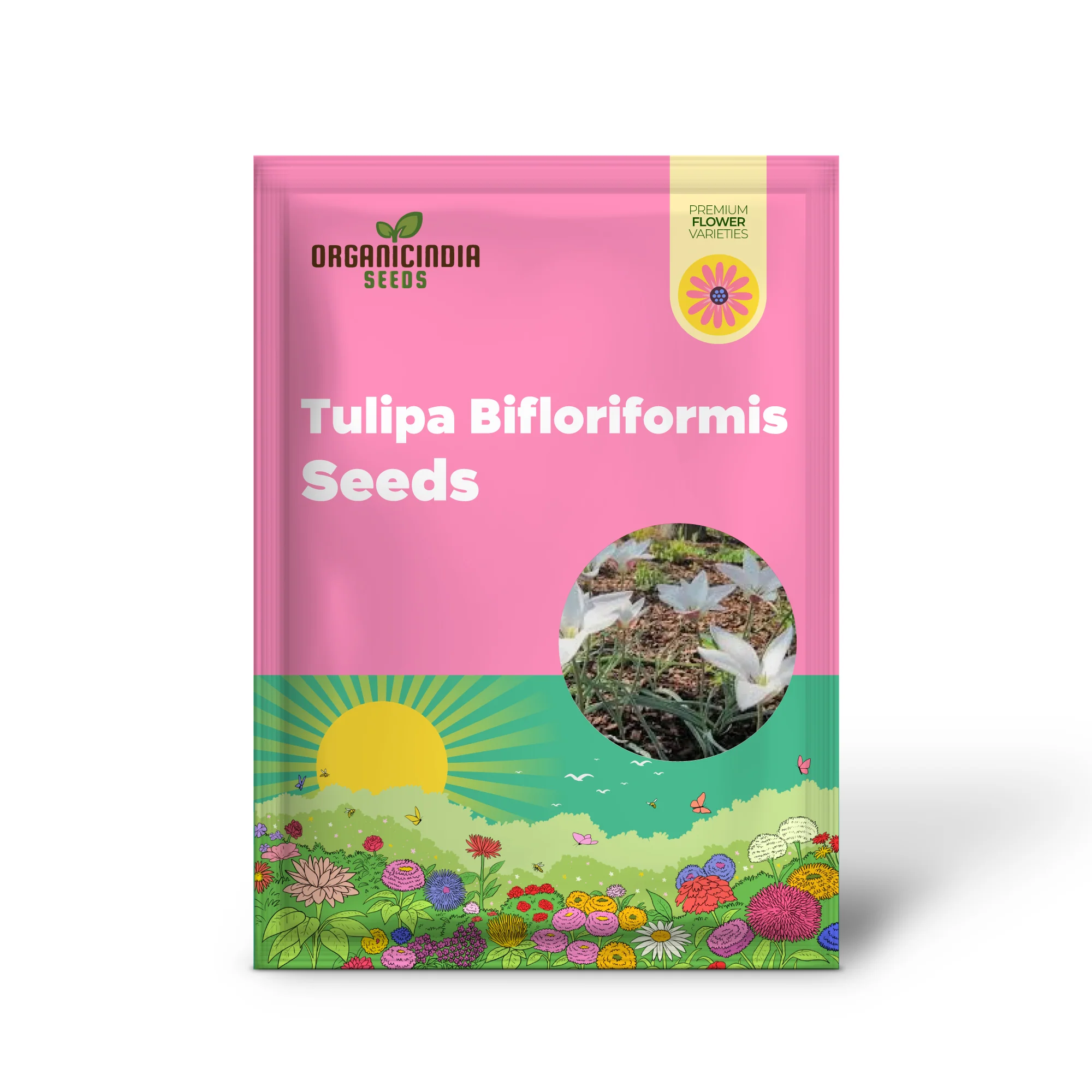 TULIPA BIFLORIFORMIS Seeds for Planting - Premium Quality Gardening Tulip Flowers for Beautiful Spring Blooms - Ideal for Home and Garden Landscaping - Image 2