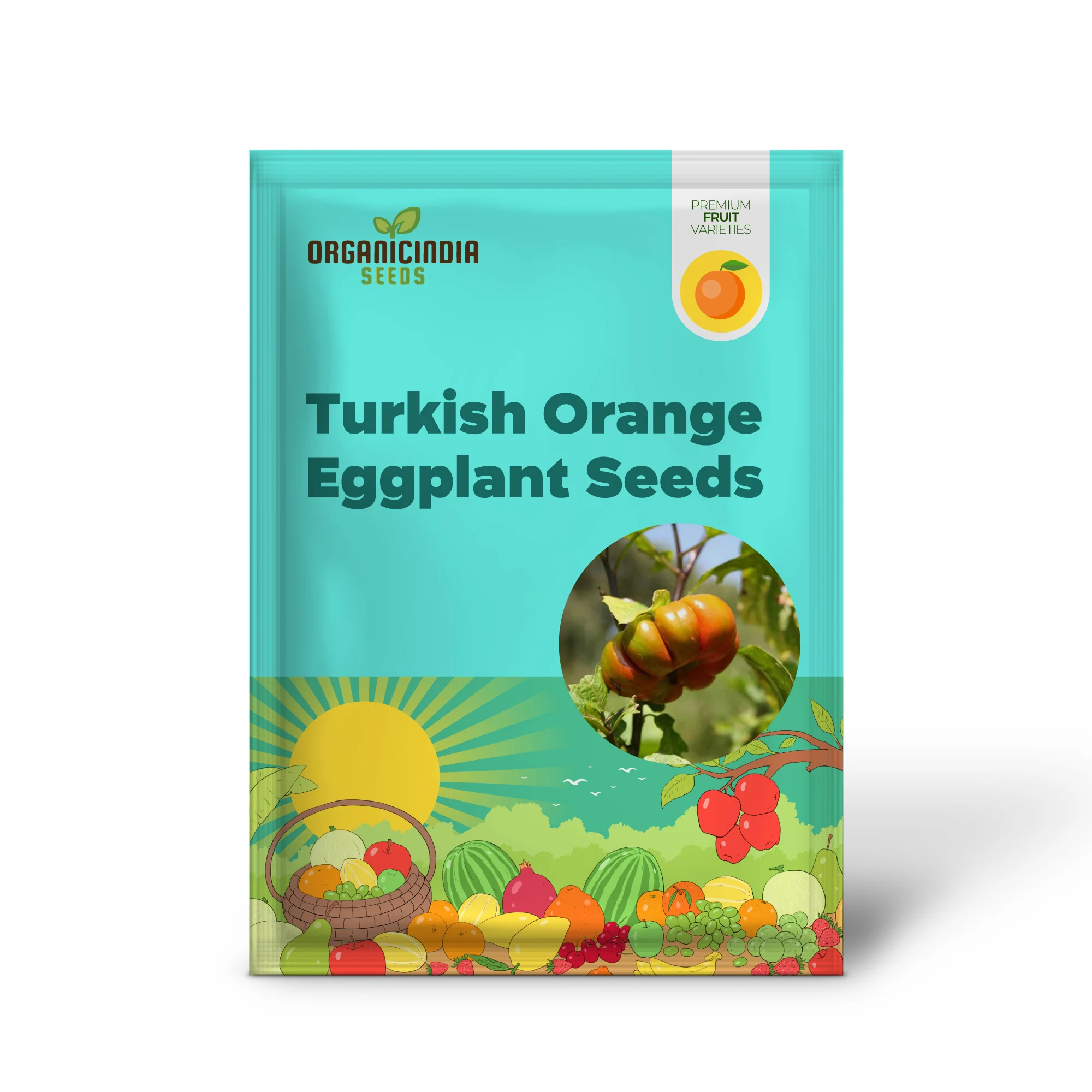 Turkish Orange Eggplant Seeds - Image 2