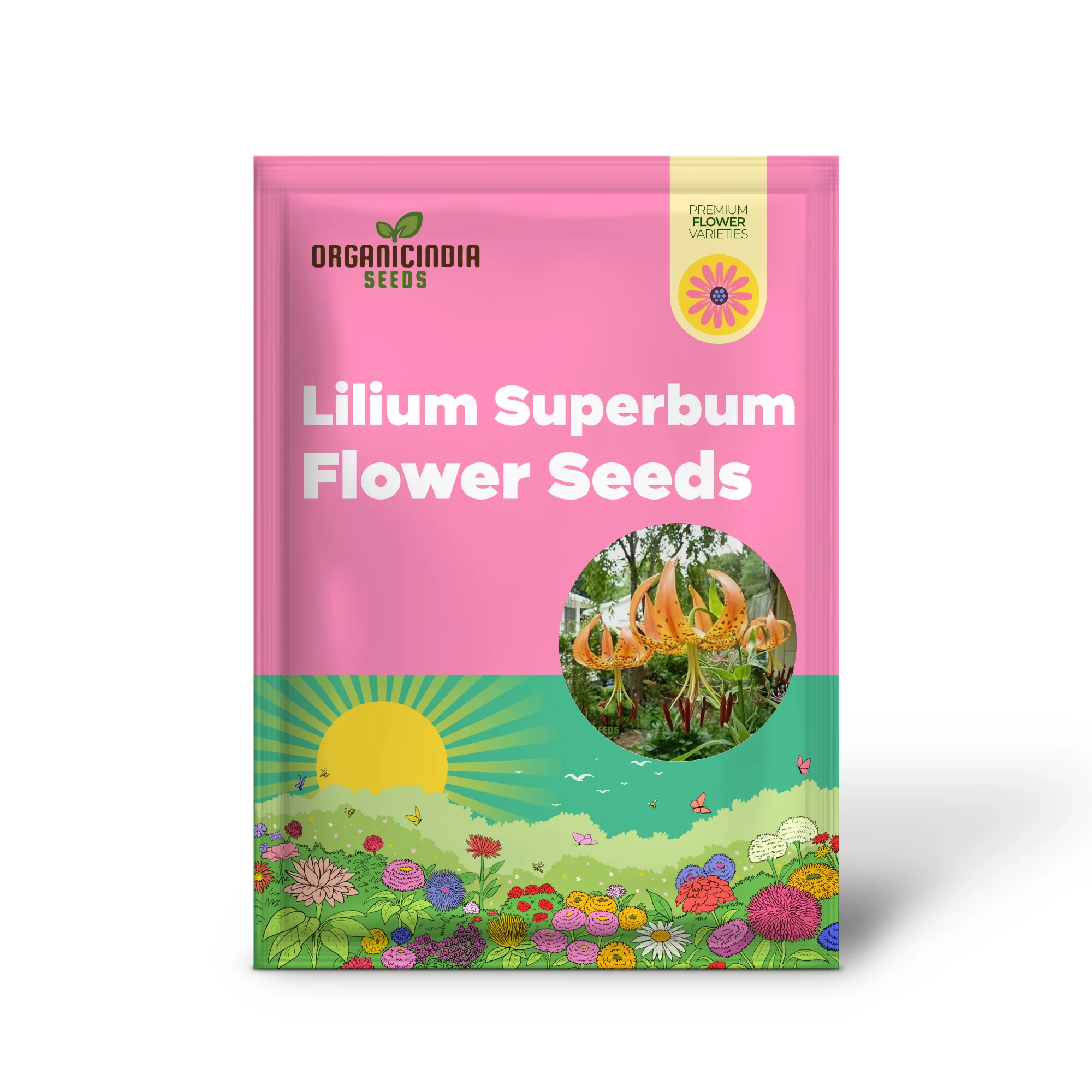 Turk's Cap Lily (Lilium Superbum) Flower Seeds for Planting - Image 2