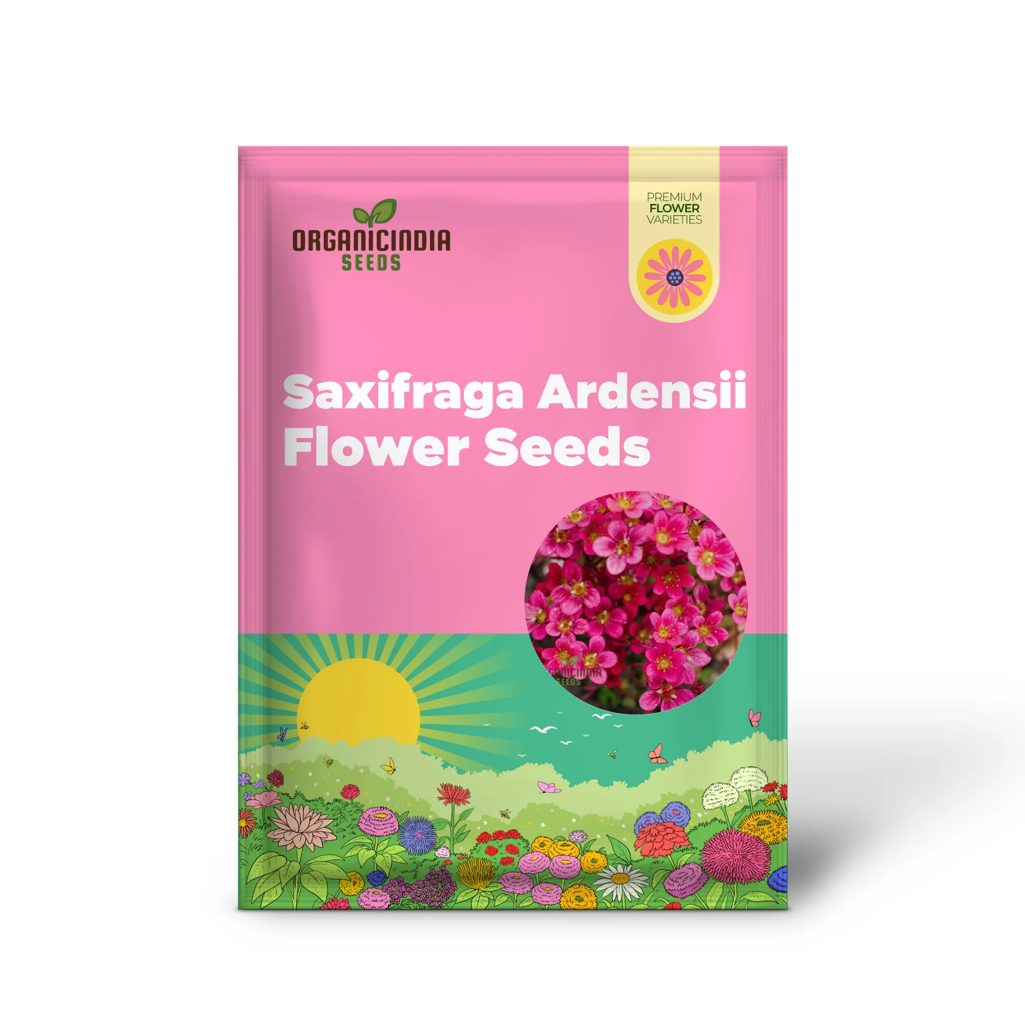 Ultimate Guide to Planting Saxifraga Ardensii Flower Seeds, Expert Gardening Tips for Vibrant Ground Cover - Image 2