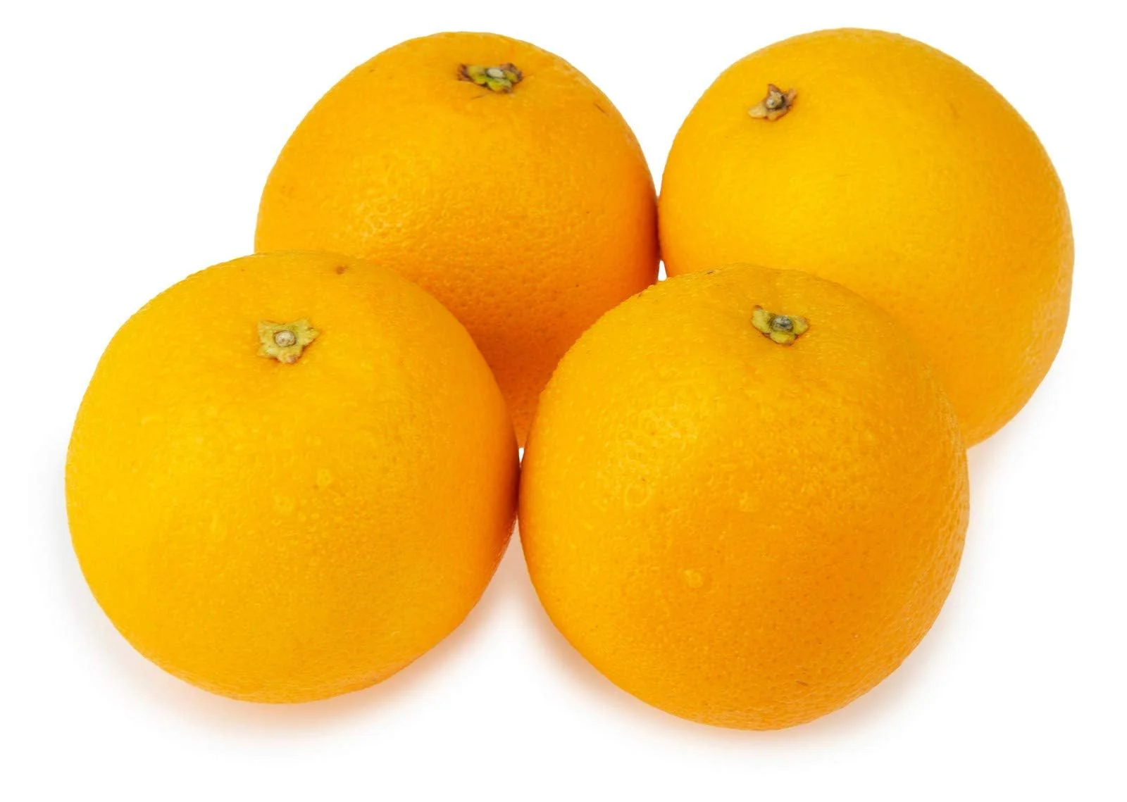 Valencia Orange Seeds for Planting – Grow Sweet & Juicy Oranges - Image 5