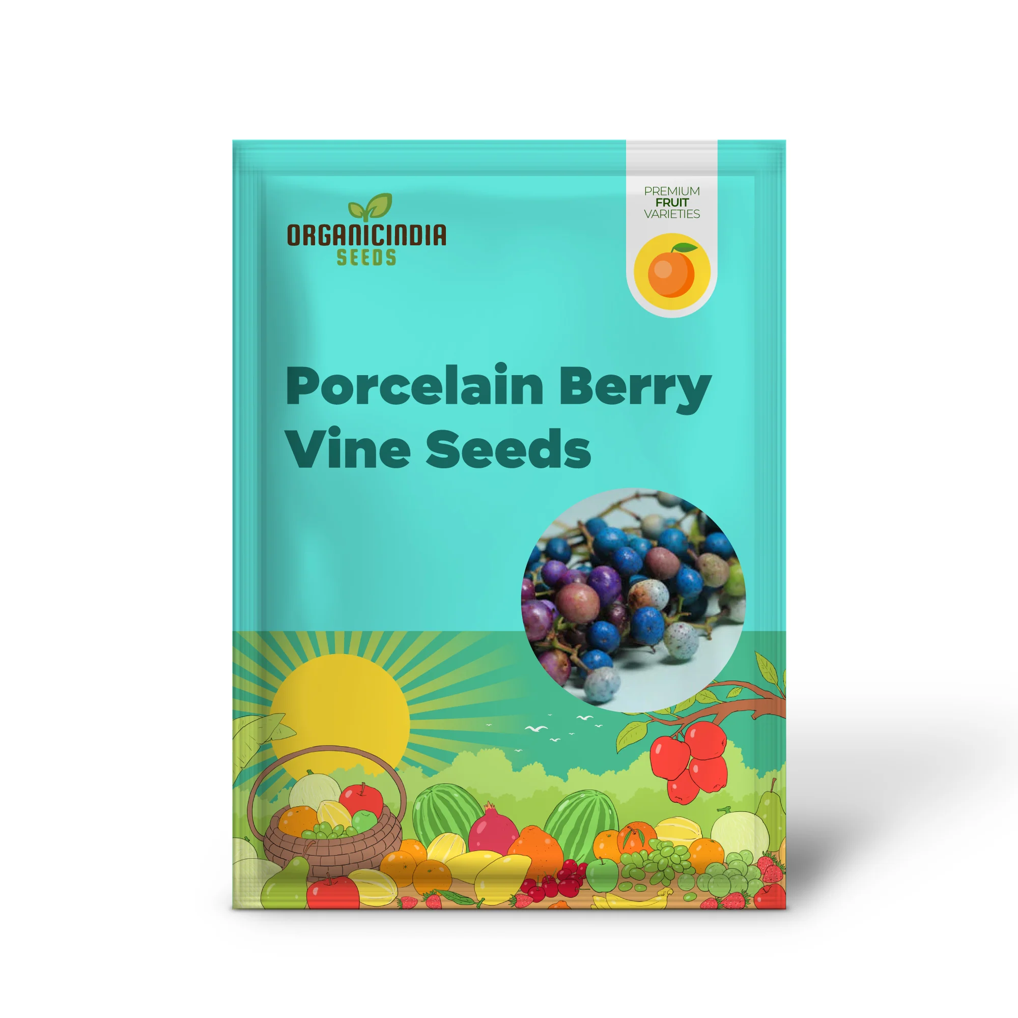 Variegated Porcelain Berry Vine Seeds - Image 2
