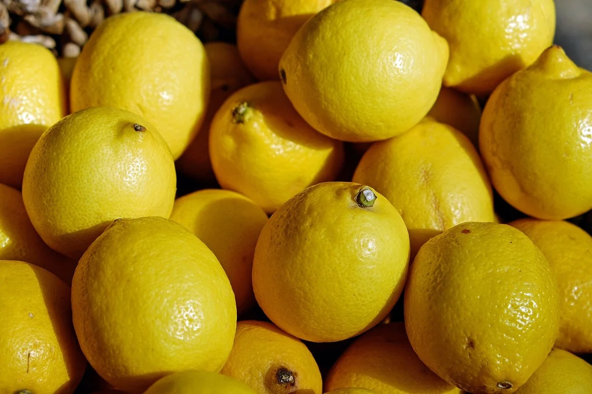 Verna Lemon Seeds for Planting – Grow Flavorful Citrus Trees at Home - Image 4