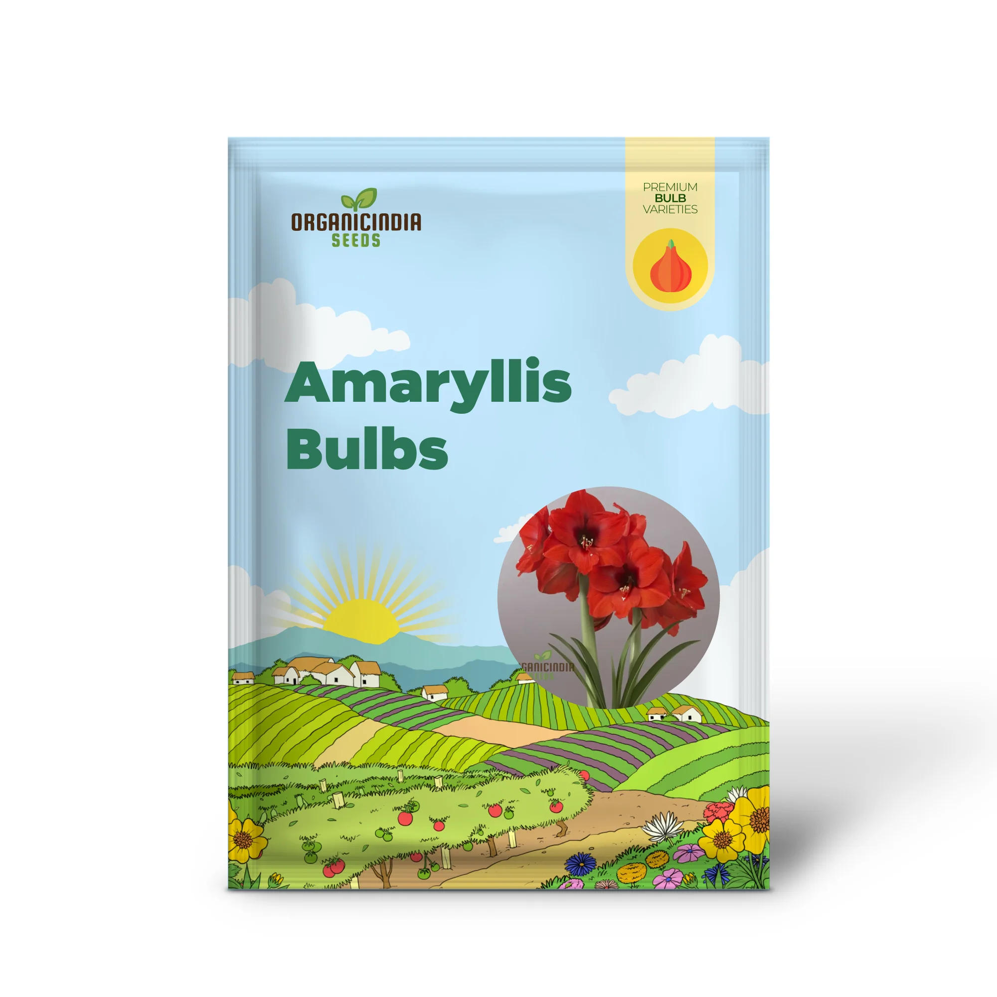 Vibrant Amaryllis Bulbs for a Perfect Garden Ensemble(3 Bulbs in a pack for planting) - Image 5