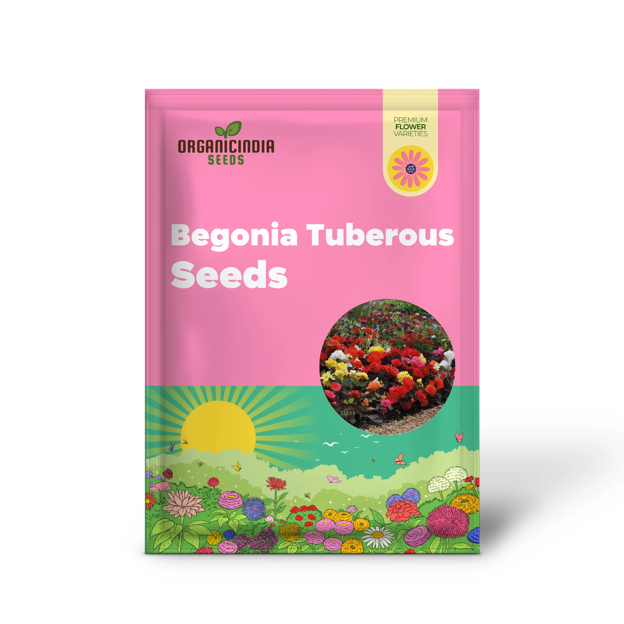 Begonia Tuberous Non-Stop Mocca F1 Mixed - Year-Round Blooms for Your Garden - Image 2