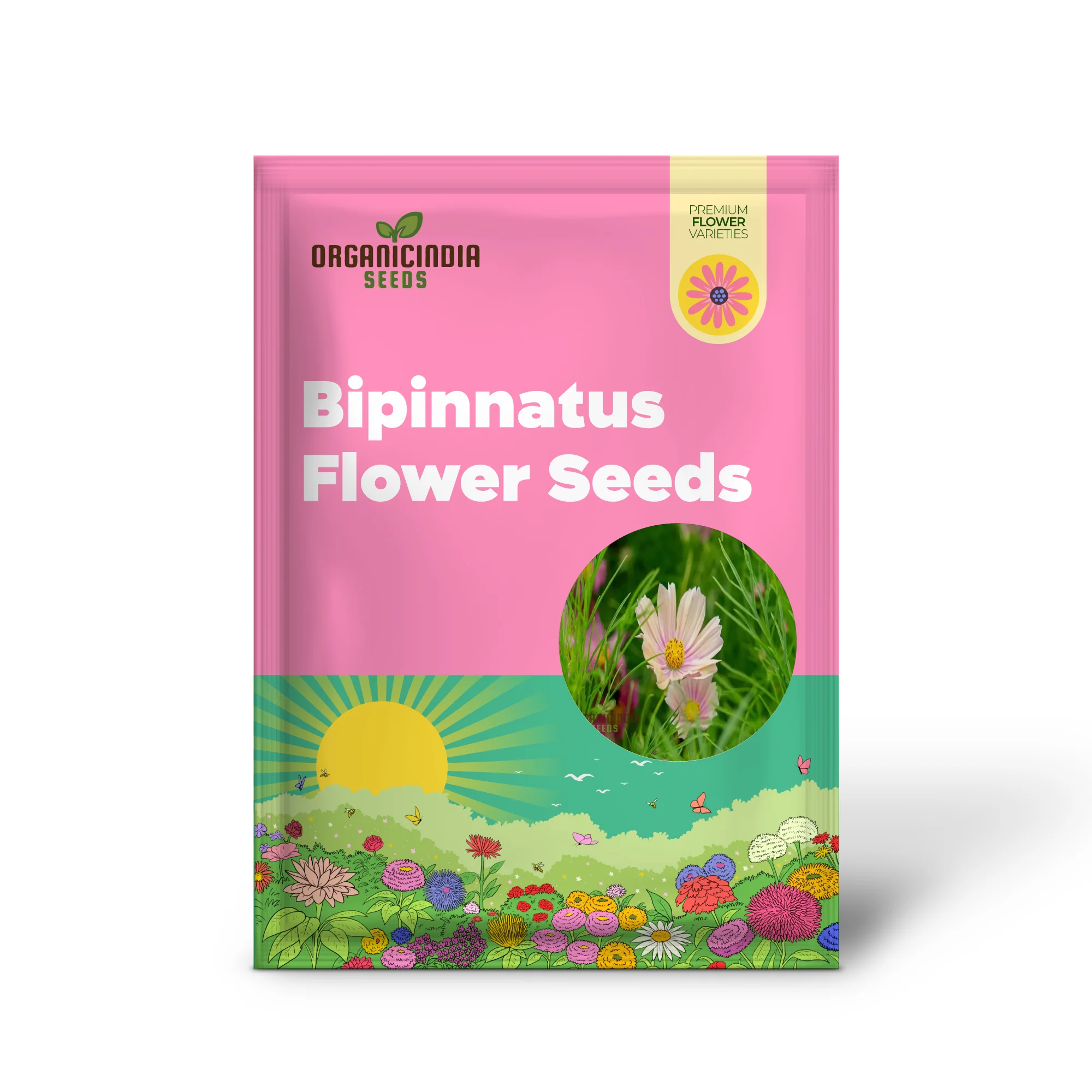 Vibrant Cosmos Bipinnatus flower Seeds, Easy-to-Grow, Colorful Blooms, Ideal for Garden - Image 2