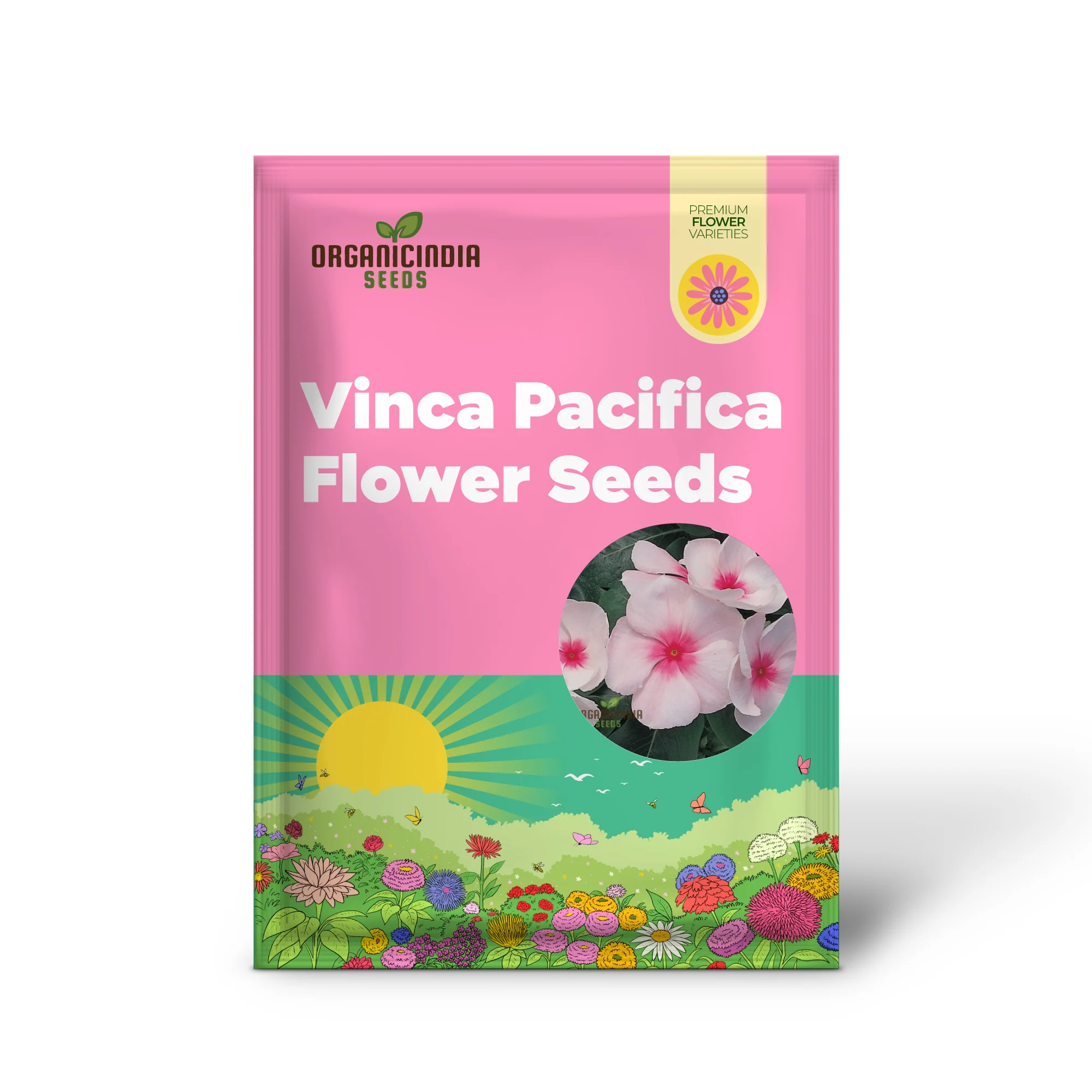 Vinca Pacifica XP Blush Flower Seeds, Premium Quality Hardy, Easy-to-Grow Annual Blooms for Stunning Garden - Image 2