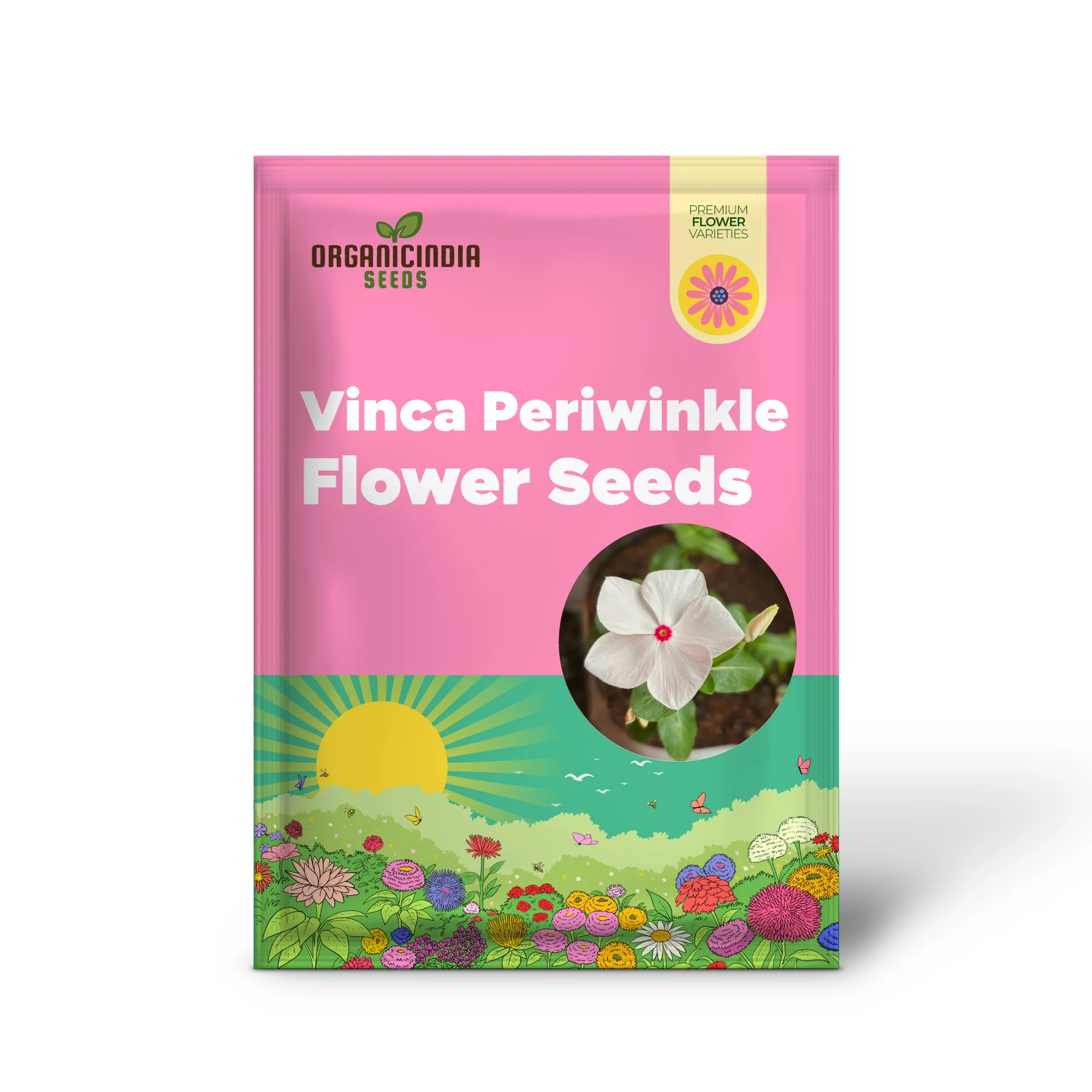 Vinca Seeds (Vinca Periwinkle Flower Seeds) - Easy Growing Blooms for Gardens & Borders - Image 2