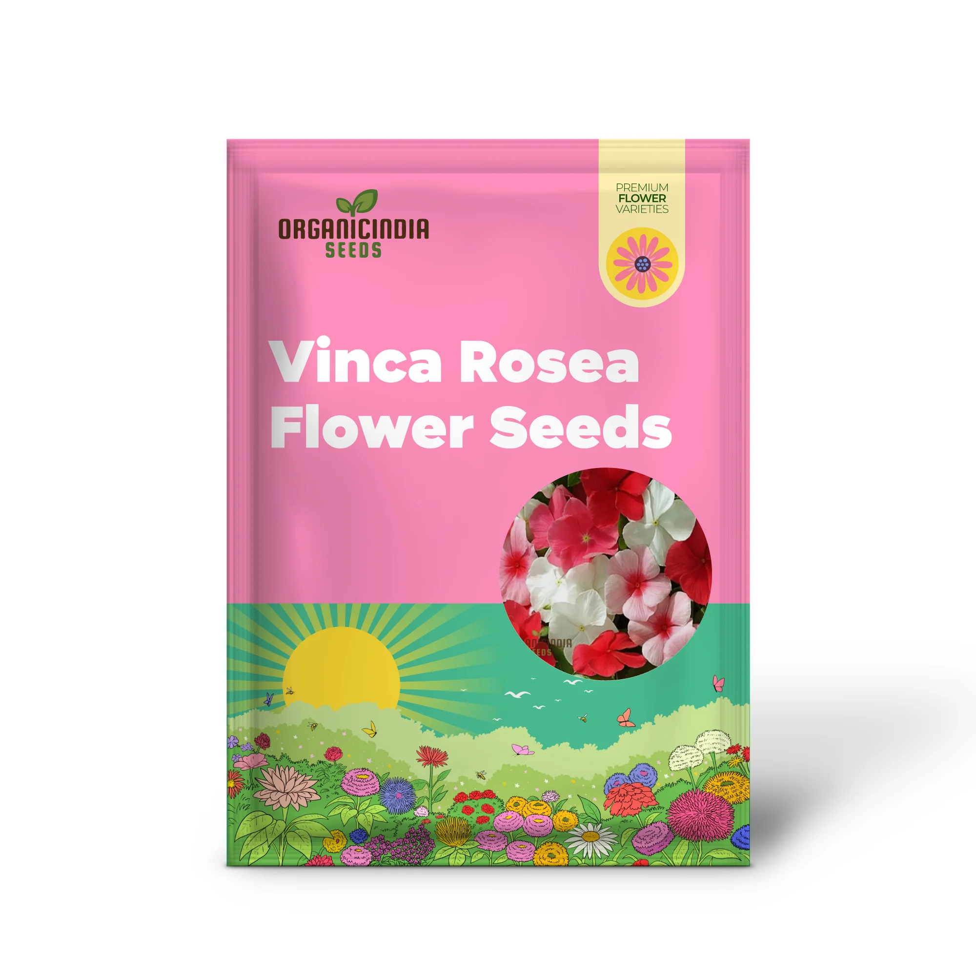 Vinca Rosea Mix Flower Seeds - Versatile and Vibrant Blooms for Garden Borders - Image 2