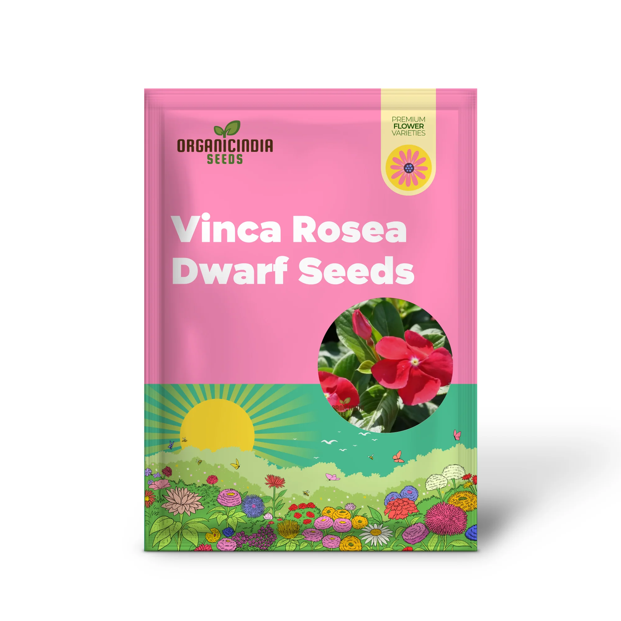 Vinca Rosea Red Cherry Dwarf Seeds - Easy Planting, Beautiful Red Flowers for Your Garden - Image 2