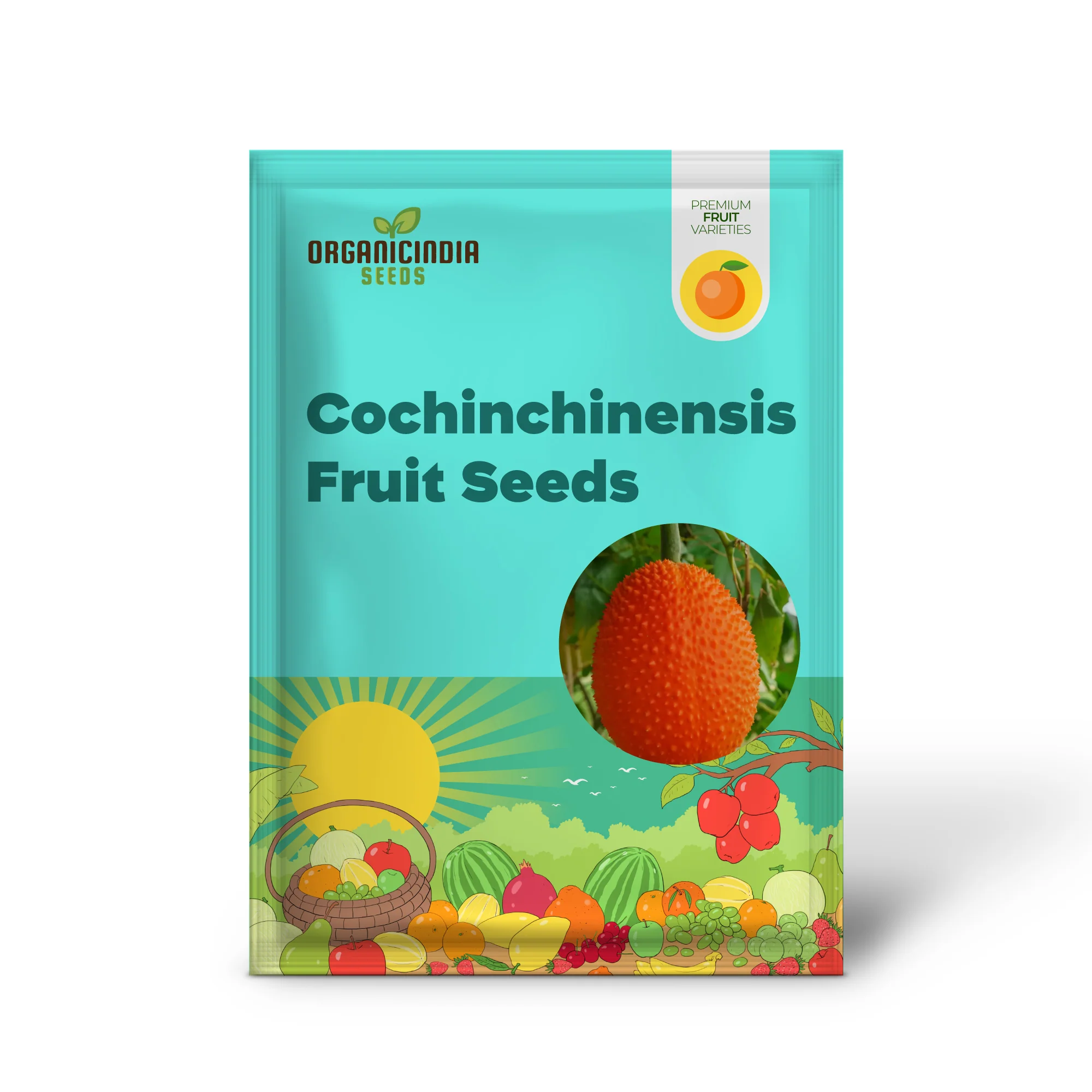Vining Momordica cochinchinensis Fruit Seeds for Planting, Cultivating Unique and Nutritious Fruits in Your Garden - Image 2