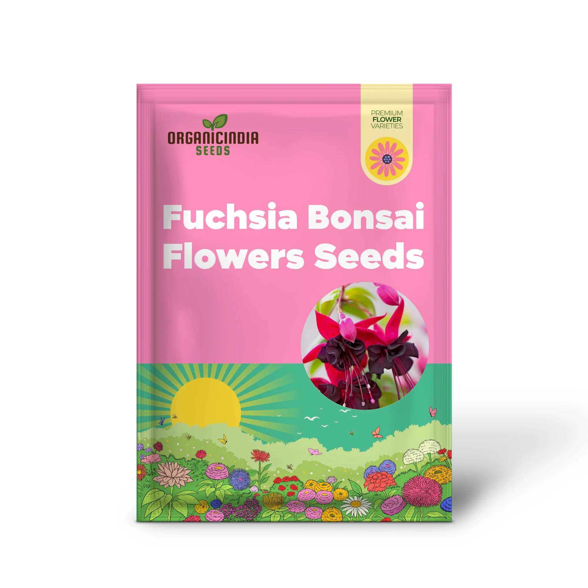 Viola Seeds (Double Petal Fuchsia Viola Seeds) - Compact Bonsai Blooms for Gardens & Pots - Image 2