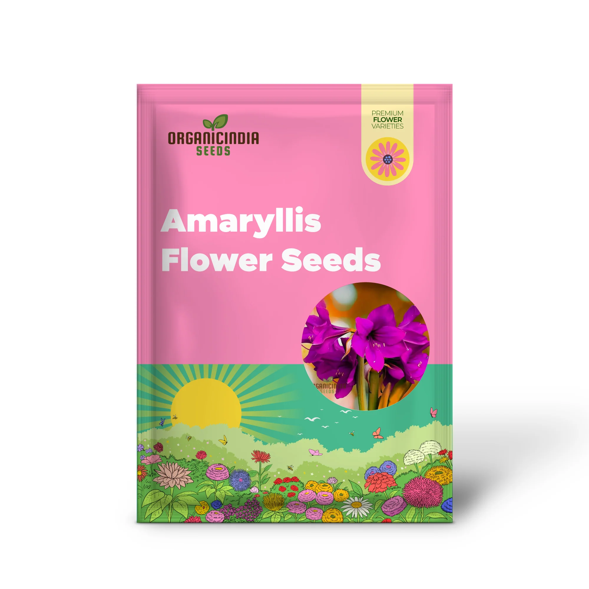 Violet Amaryllis Flower Seeds, Purple Amaryllis Bulb Seeds for Stunning Garden Blooms and Planting - Image 2