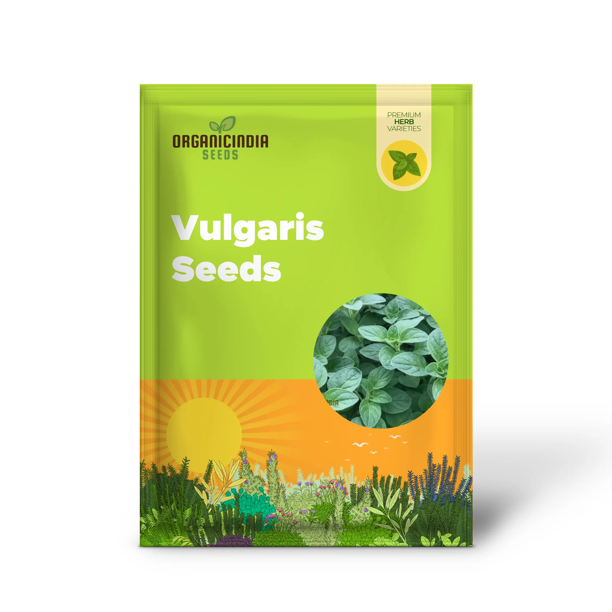 Vulgaris Seeds – Premium Quality Garden Seeds for Planting & Outdoor Growing - Image 2