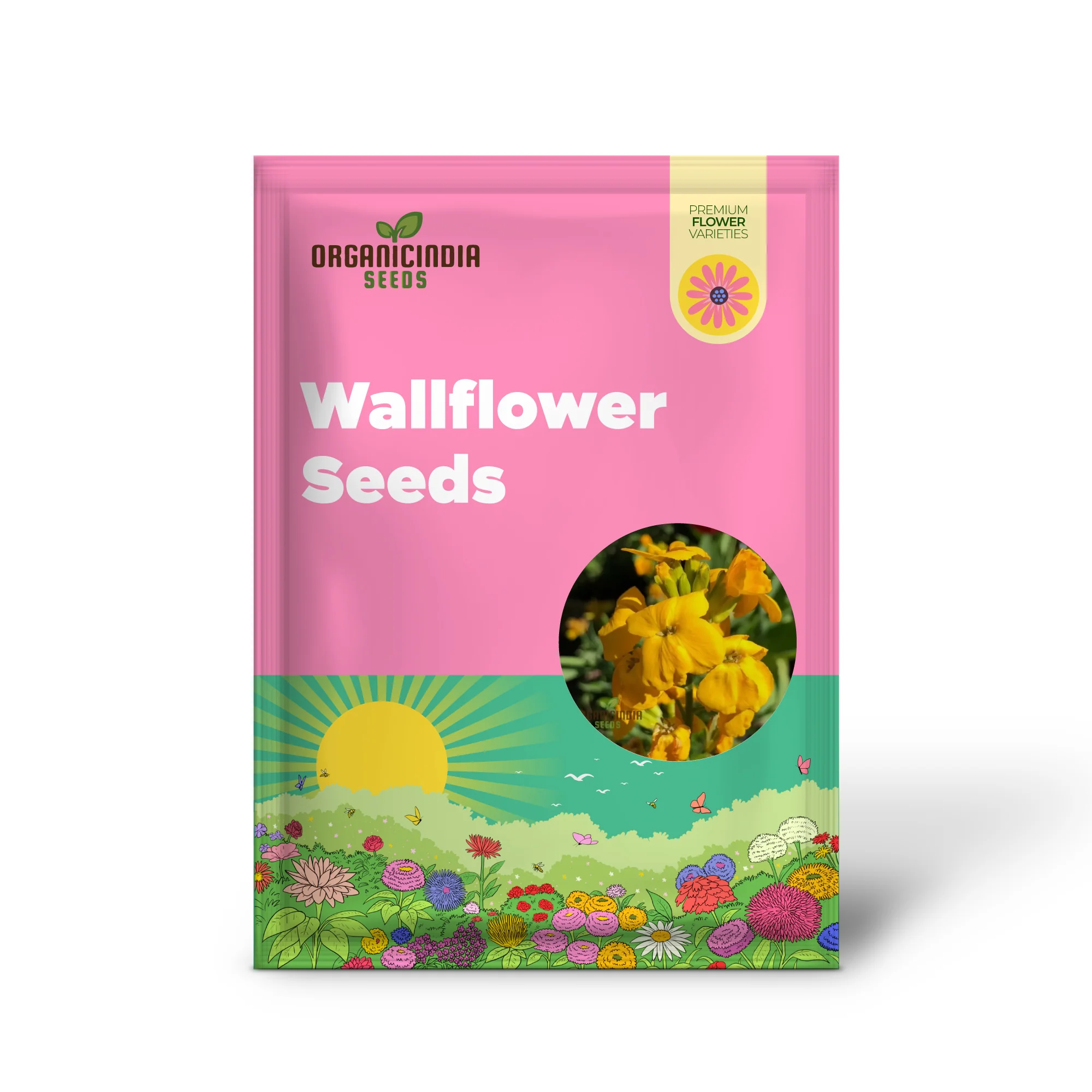 Wallflower Cloth of Gold Flower Seeds For Planting, Bright and Elegant Yellow Wallflowers for a Stunning Garden Display - Image 2